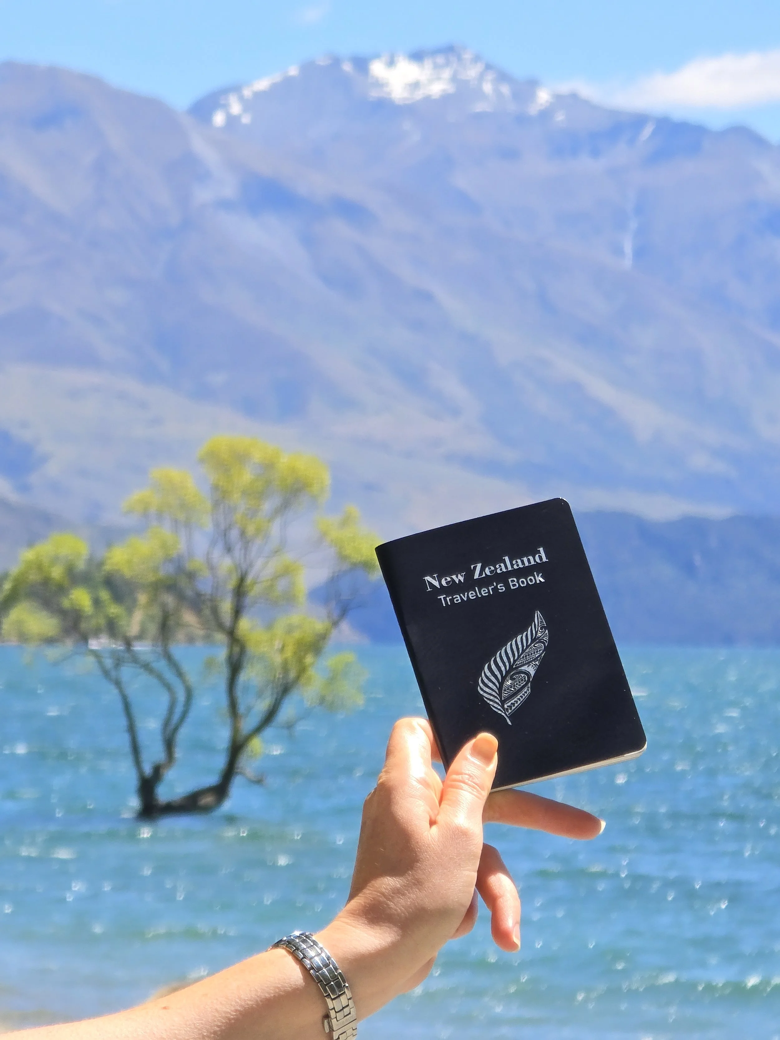 wanaka tree Person holding a black traveler's book titled 'New Zealand Traveler's Book' with a background of a scenic landscape including a tree, water, and mountains.