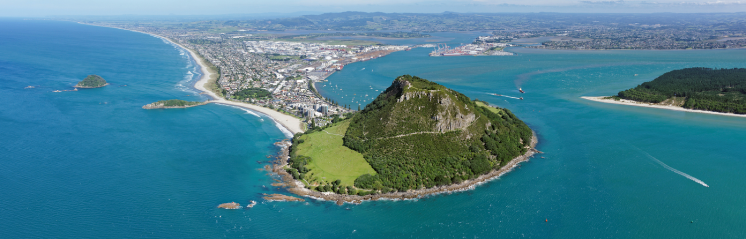 Aerial view of a large island with a mountain in the center, surrounded by blue water, with a city and beaches in the background.