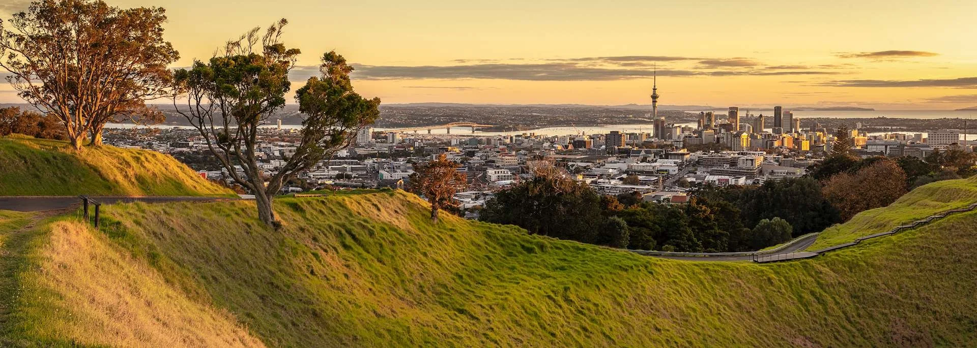 City skyline with tall buildings and a tower, viewed from a green hill with trees at sunset.