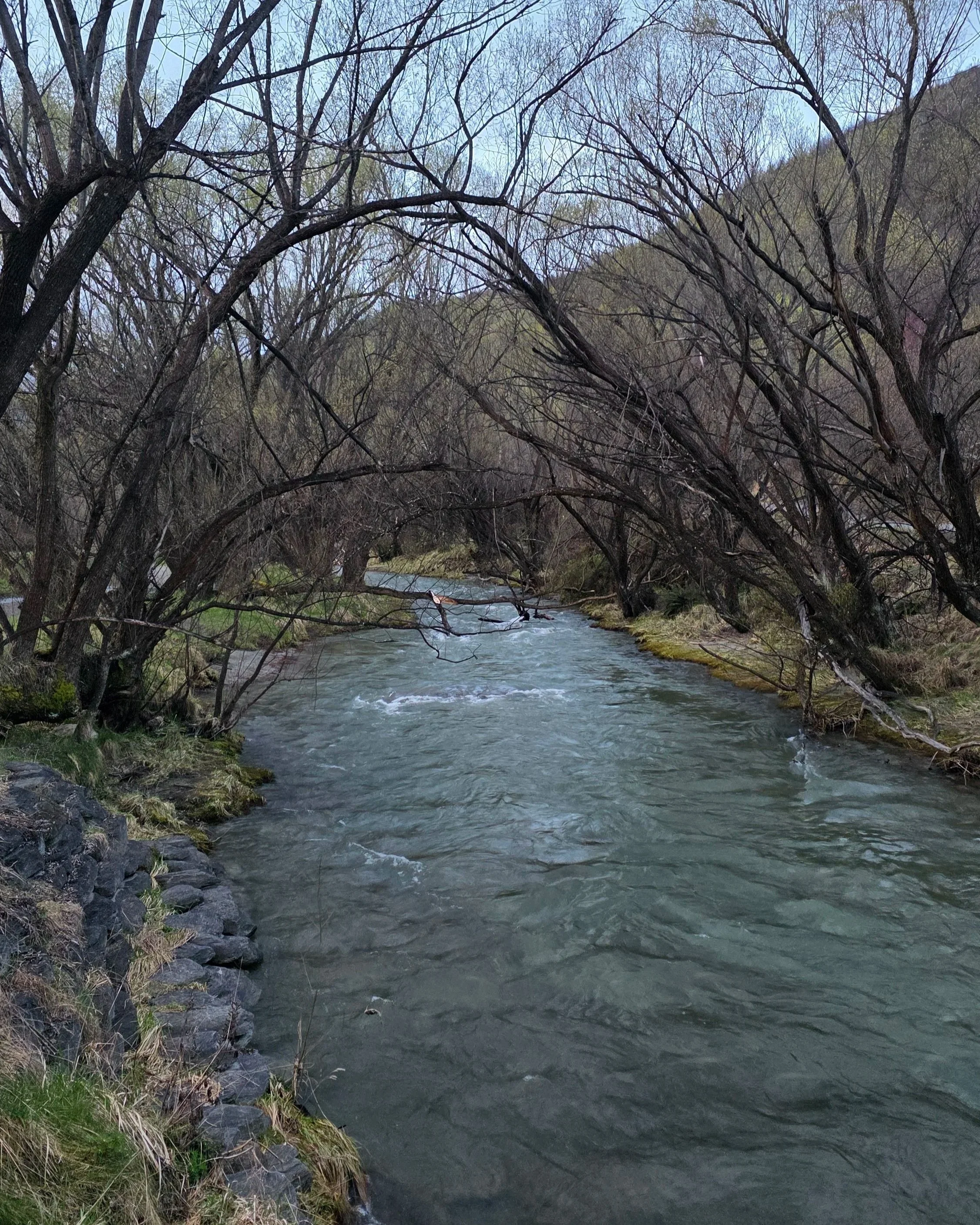 A river flowing through a wooded area with trees on both sides and a hillside in the background.
