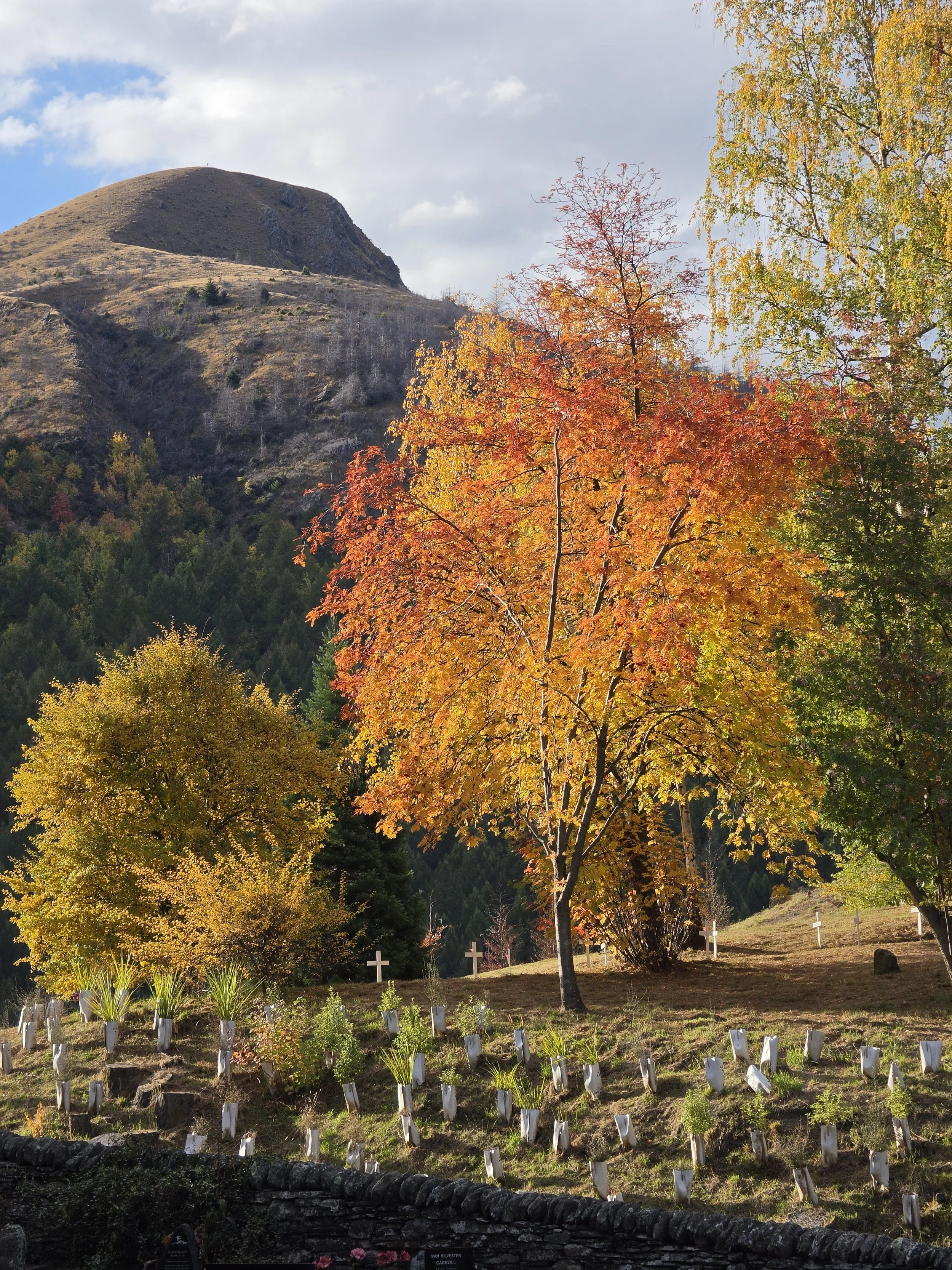 A scenic view of a mountain with a grassy top, partially covered in trees, beside a bright gray cloudy sky. Foreground features colorful autumn trees and a cemetery with white crosses and small plants, with sunlight illuminating the scene.