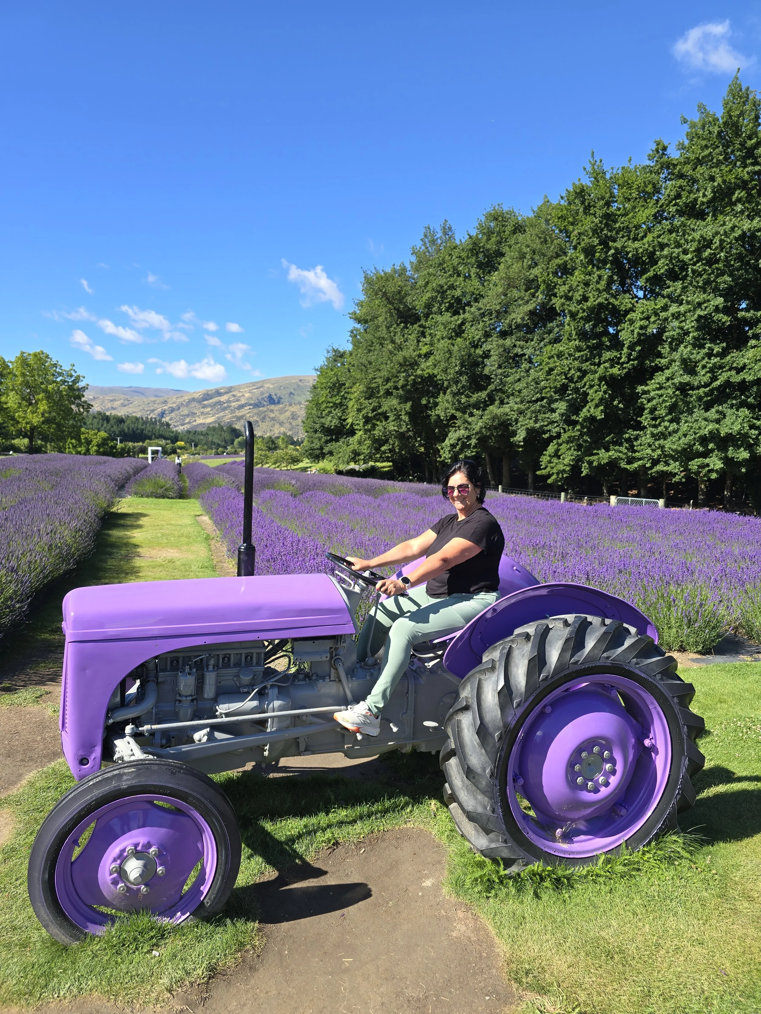 A woman riding a purple tractor through a lavender field under a bright blue sky with some scattered clouds and green trees and hills in the background.