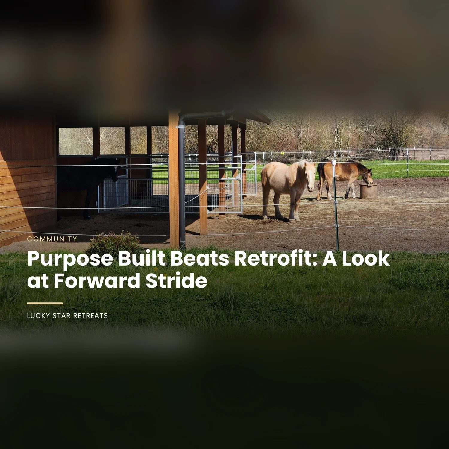 Purpose Built Beats Retrofit: A Look at Forward Stride