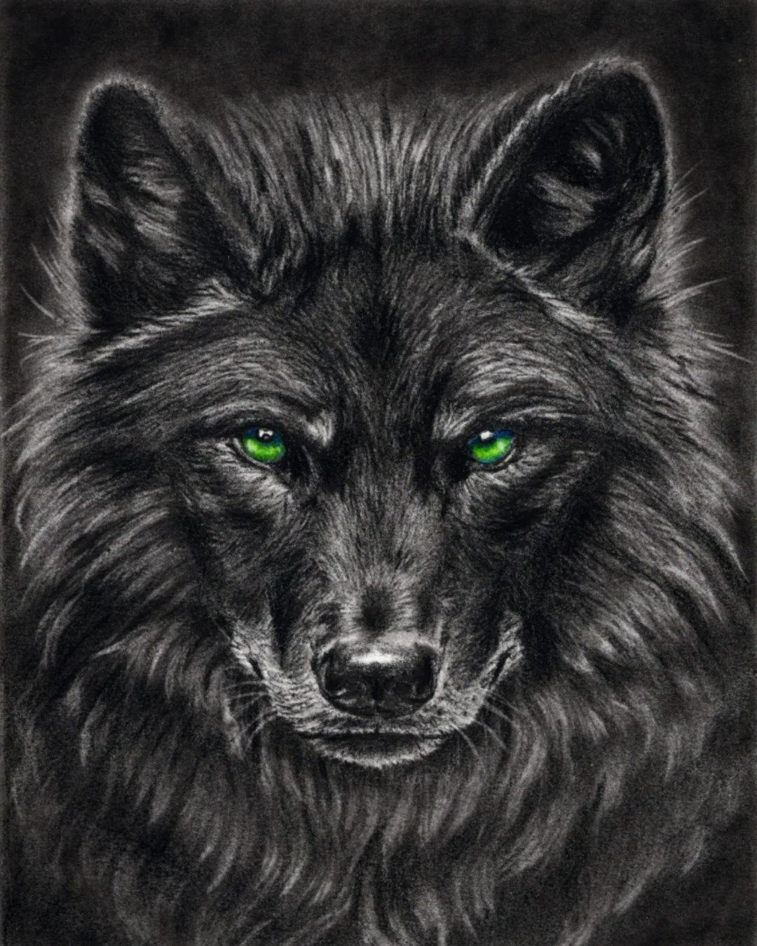 Little Alpha | Graphite Print
