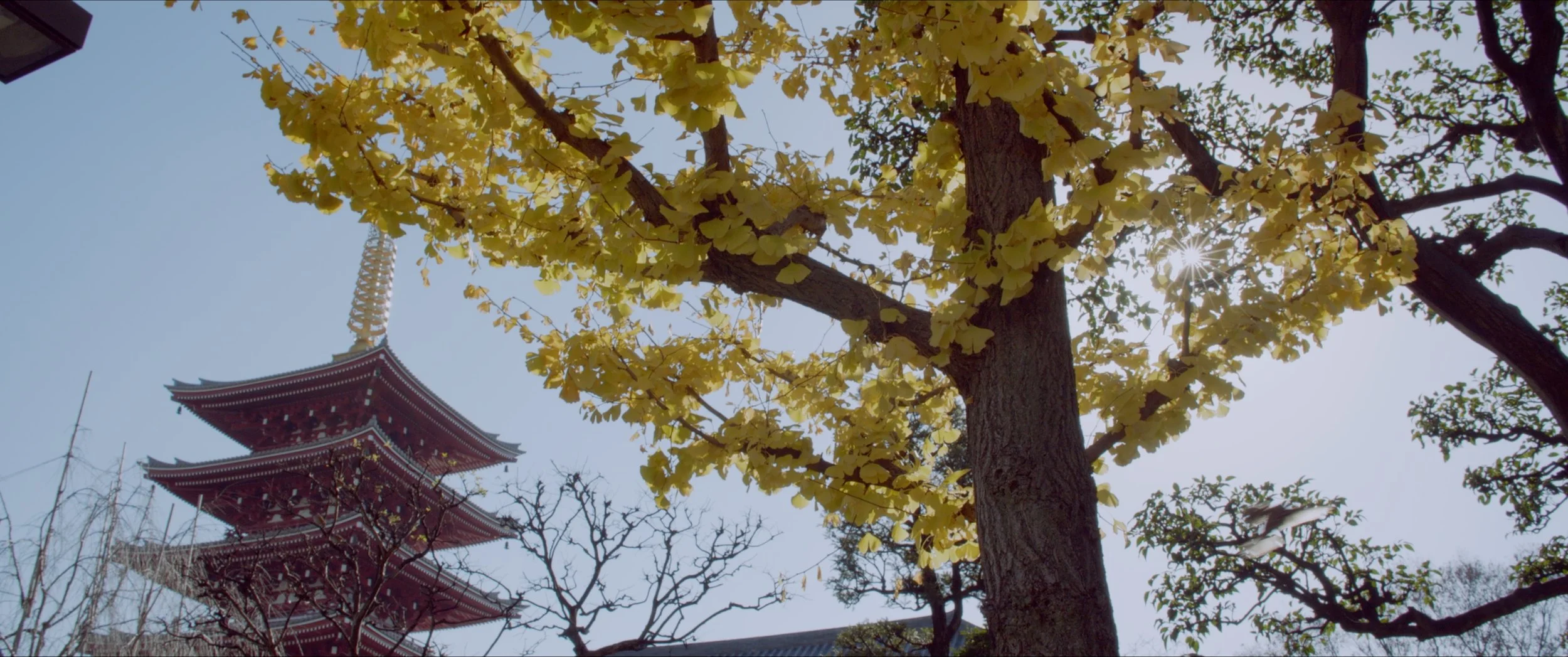 Screen Shot 2021-05-14 at 16.38.19.jpg