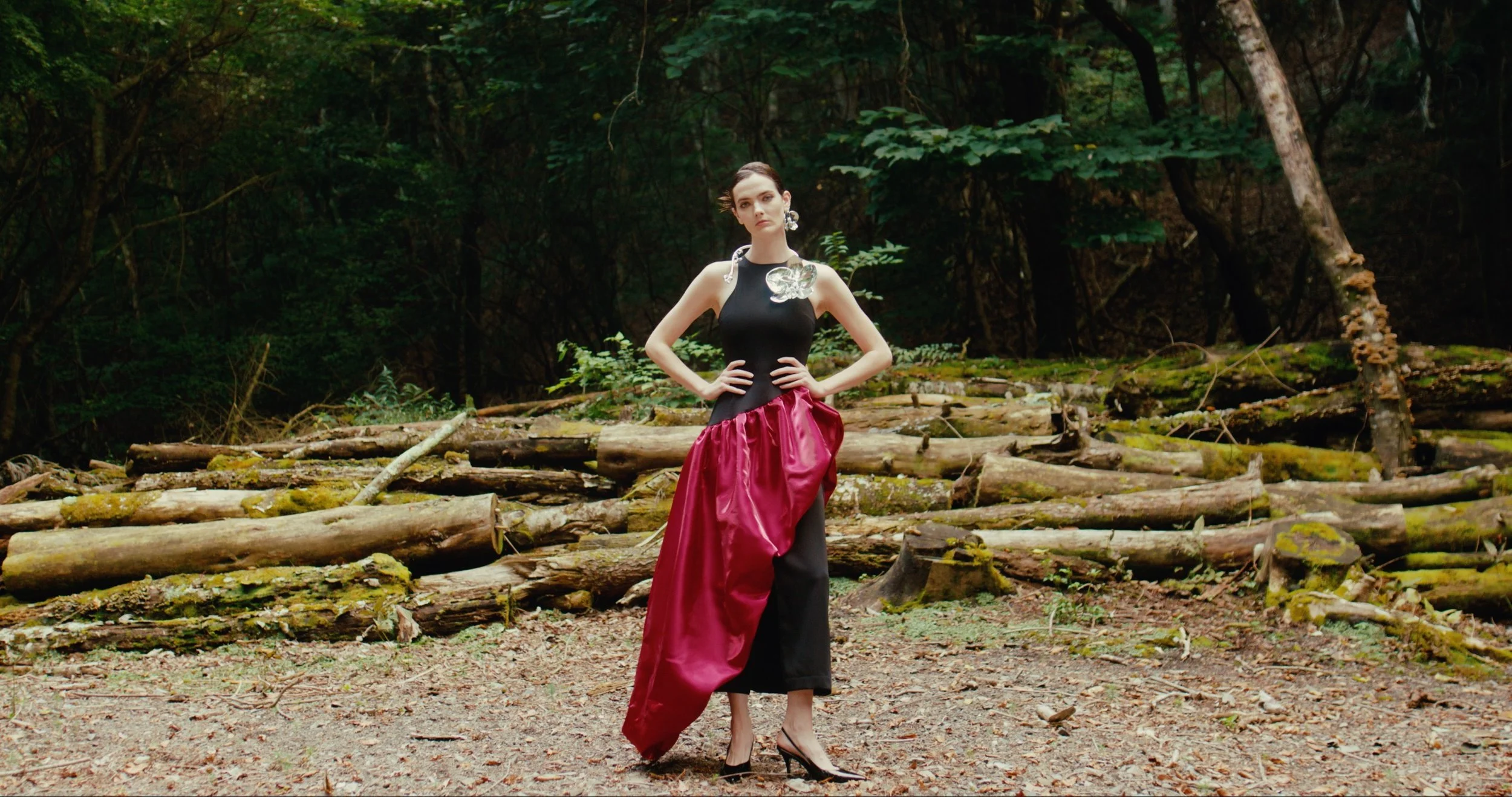 Screenshot 2026-03-03 at 3.03.51 PM.jpg