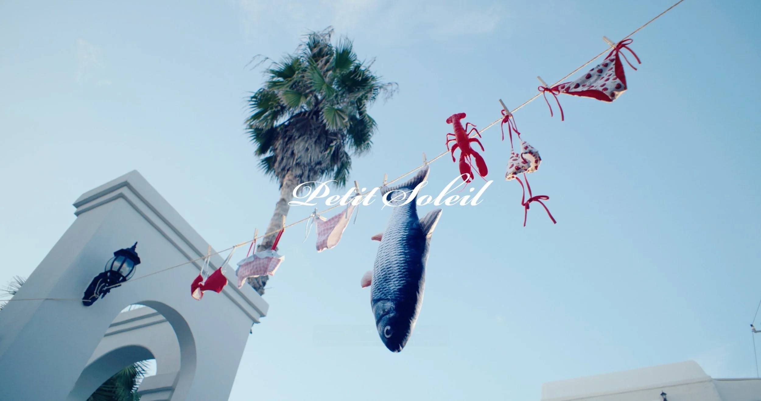 Screenshot 2026-03-03 at 9.01.20 PM.jpg