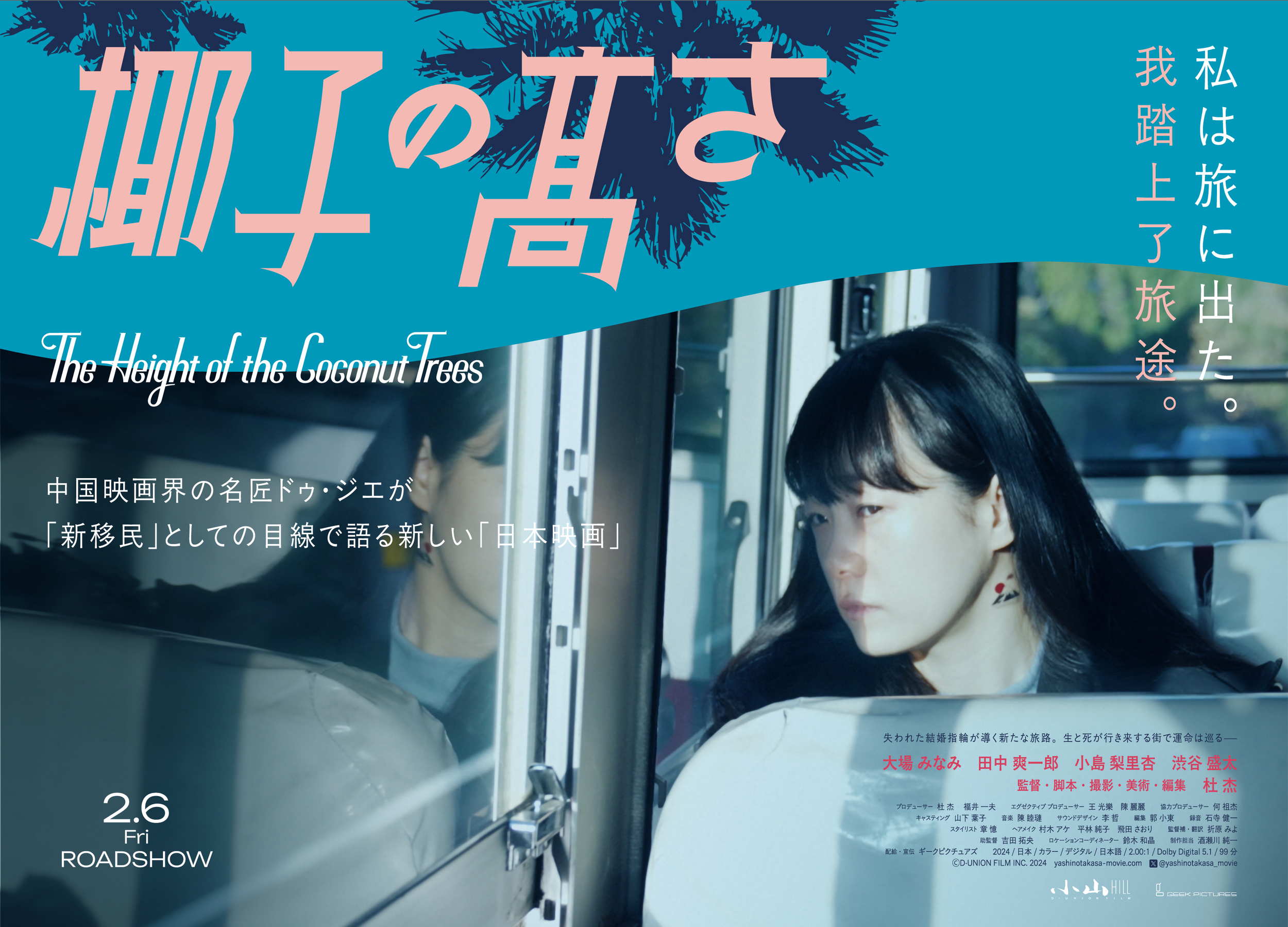 The Height of The Coconut Trees