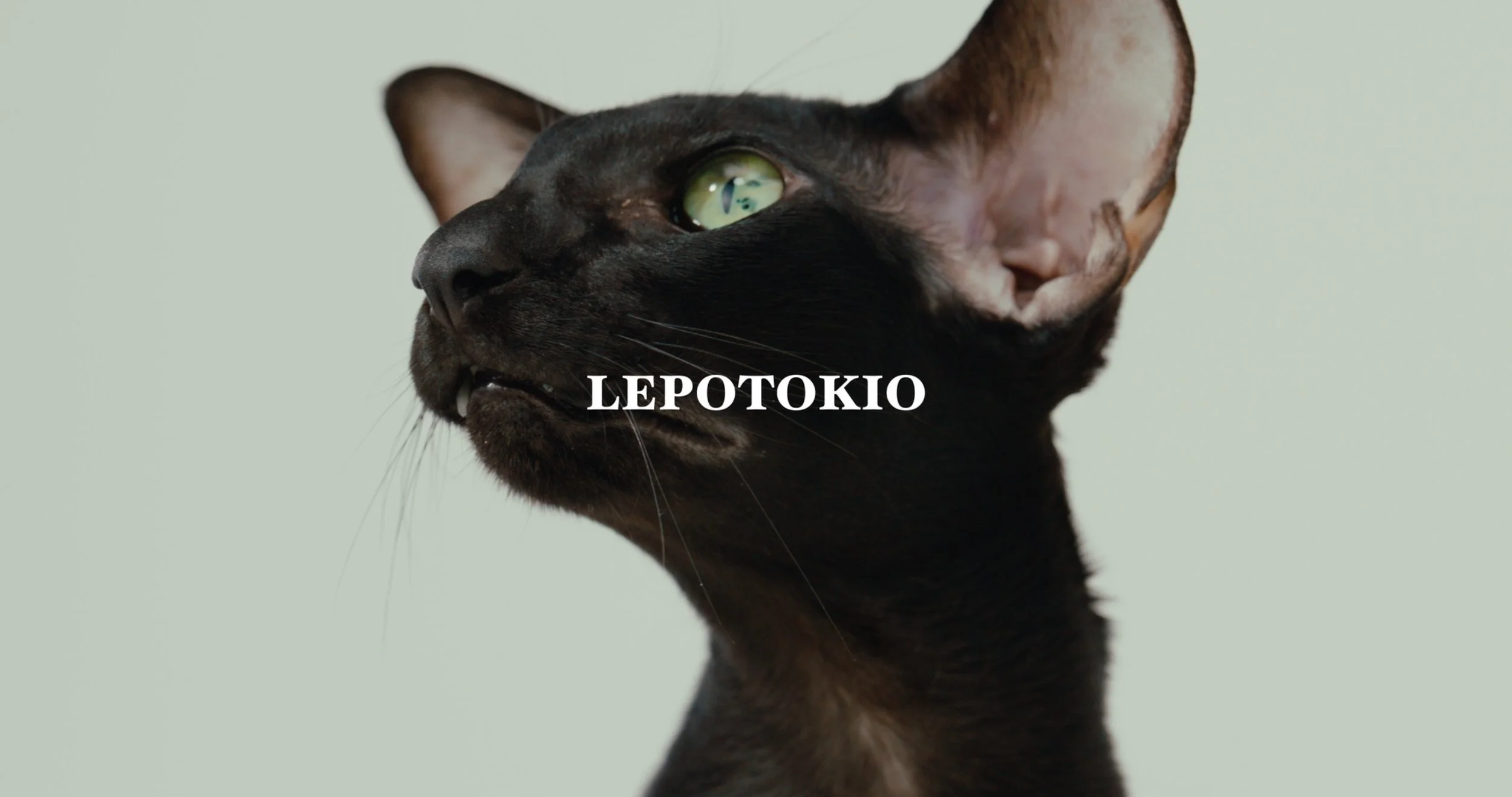 Lepotokio (Fashion CM)