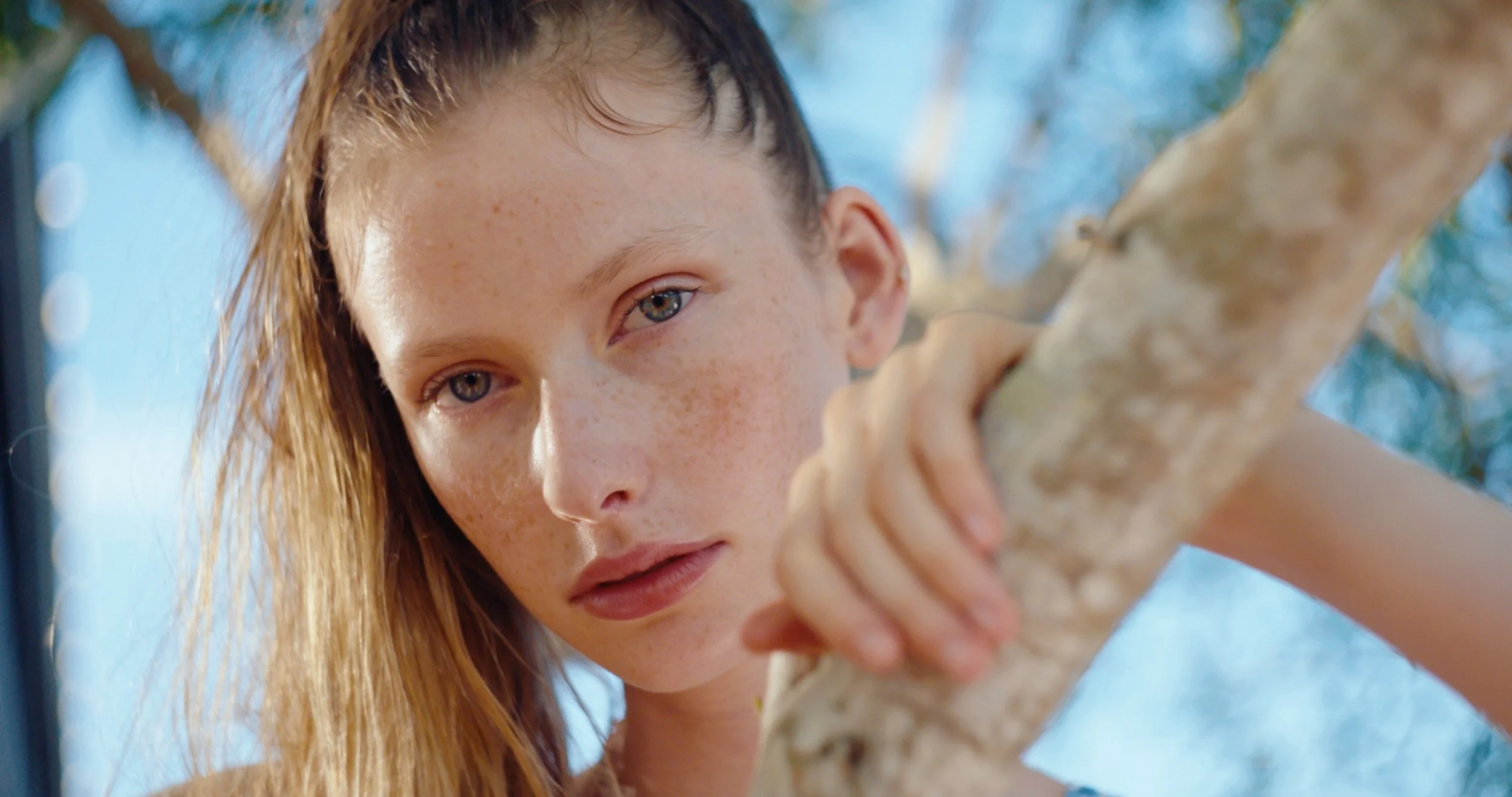 Screenshot 2026-03-03 at 8.58.42 PM.jpg