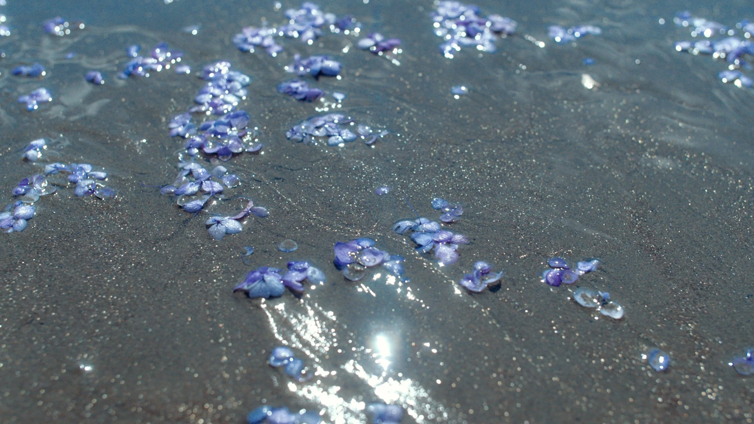 Screenshot 2025-08-28 at 1.49.15 PM.JPG