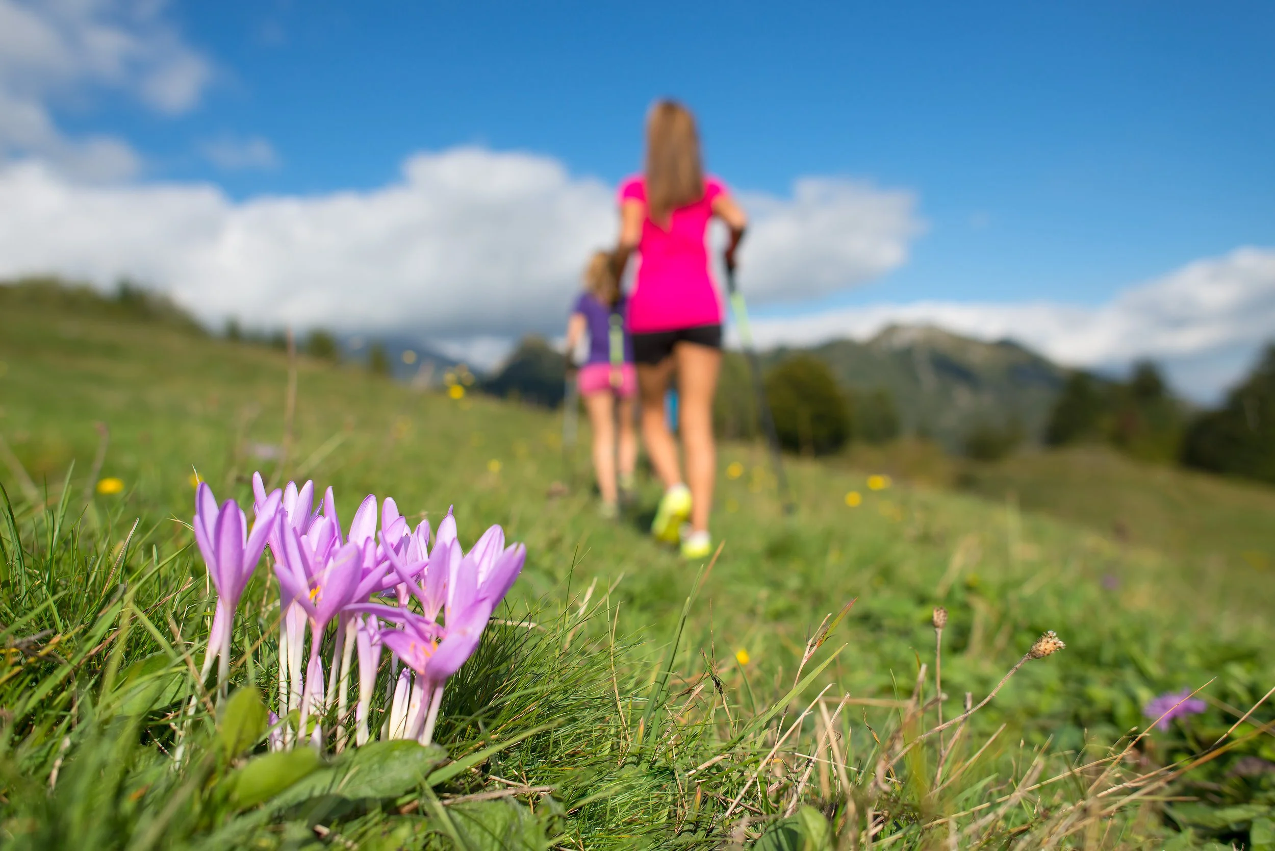 Reach Your Peak- Achievement Pathway-All 5 Sessions  NEXT GROUP COHORT STARTS AUGUST 5th