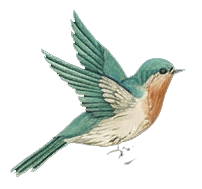 A colorful illustration of a bird in flight with teal, blue, and white feathers.