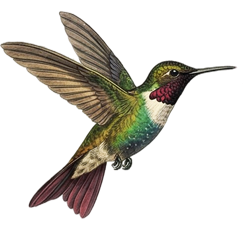 Colorful hummingbird with green, red, and white feathers, flying with wings spread and beak extended.