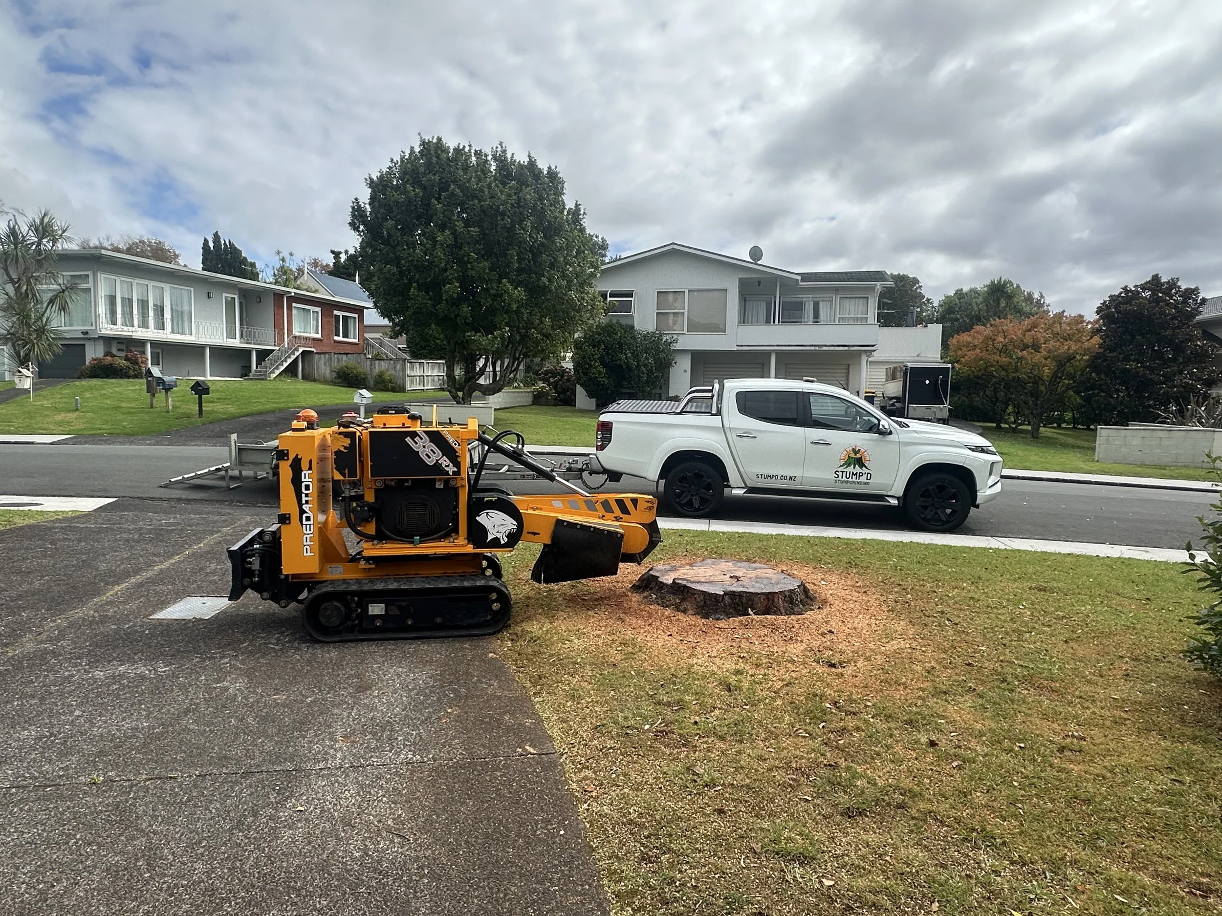 Stump'd | Get Your Stumps Removed Today