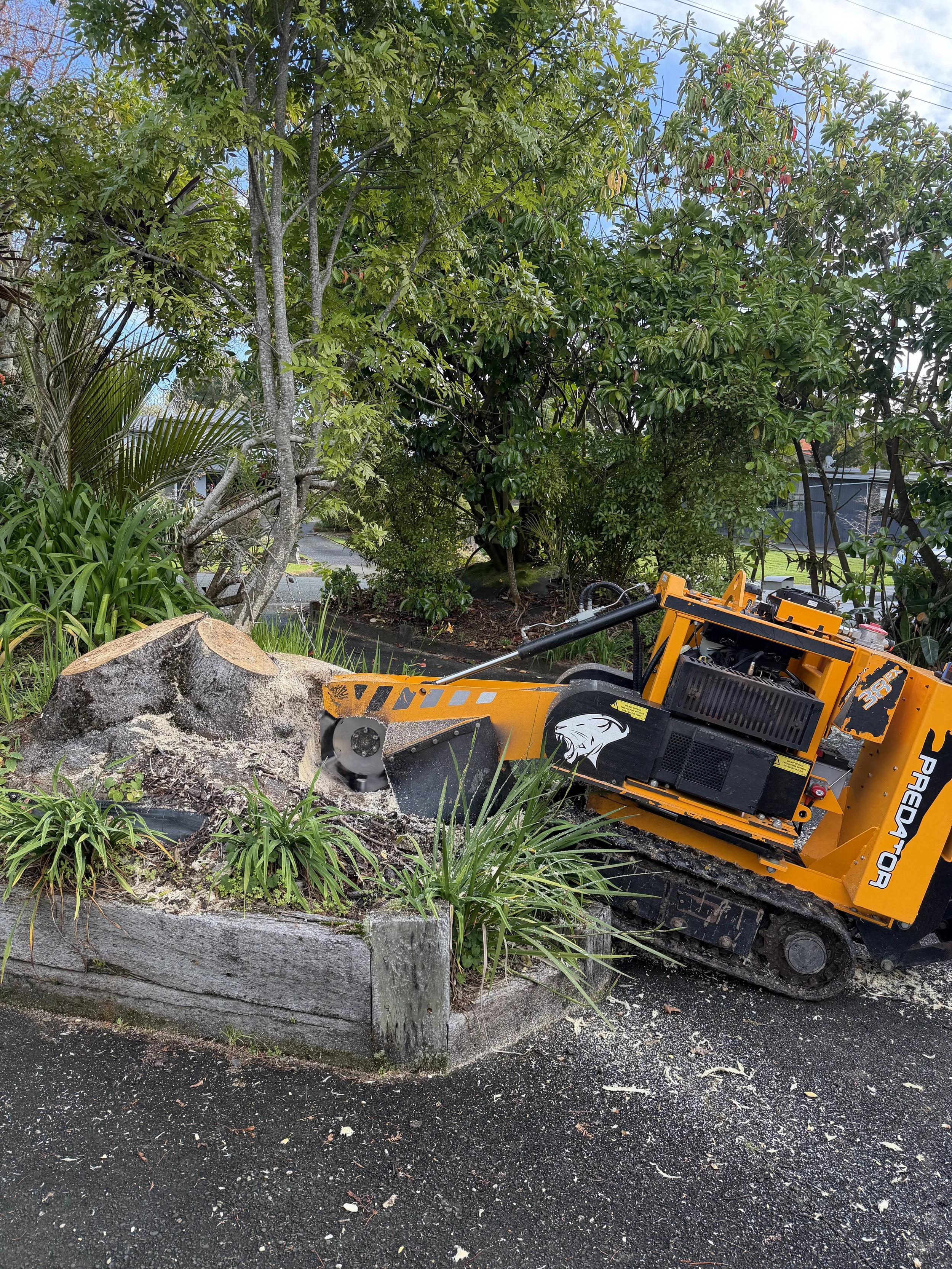 A tree being trimmed with a large orange and black equipment near a stone planter with plants and a tree trunk in front, and a background of green bushes and trees.