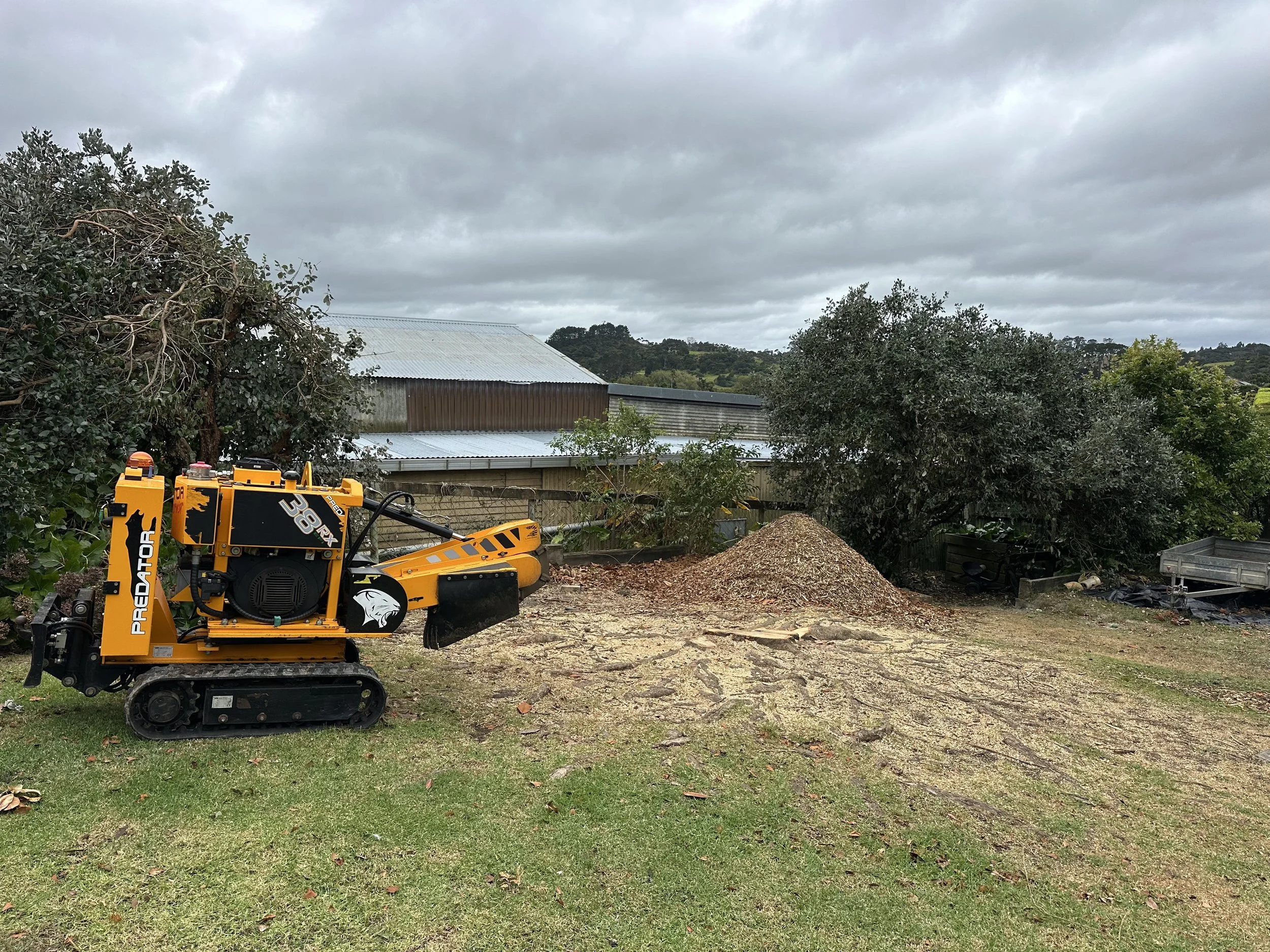 A tracked stump grinder with yellow and black colors, labeled 'Predator' and '38X', parked on a grassy area next to a dirt pile, with trees and a building with metal roofing in the background.