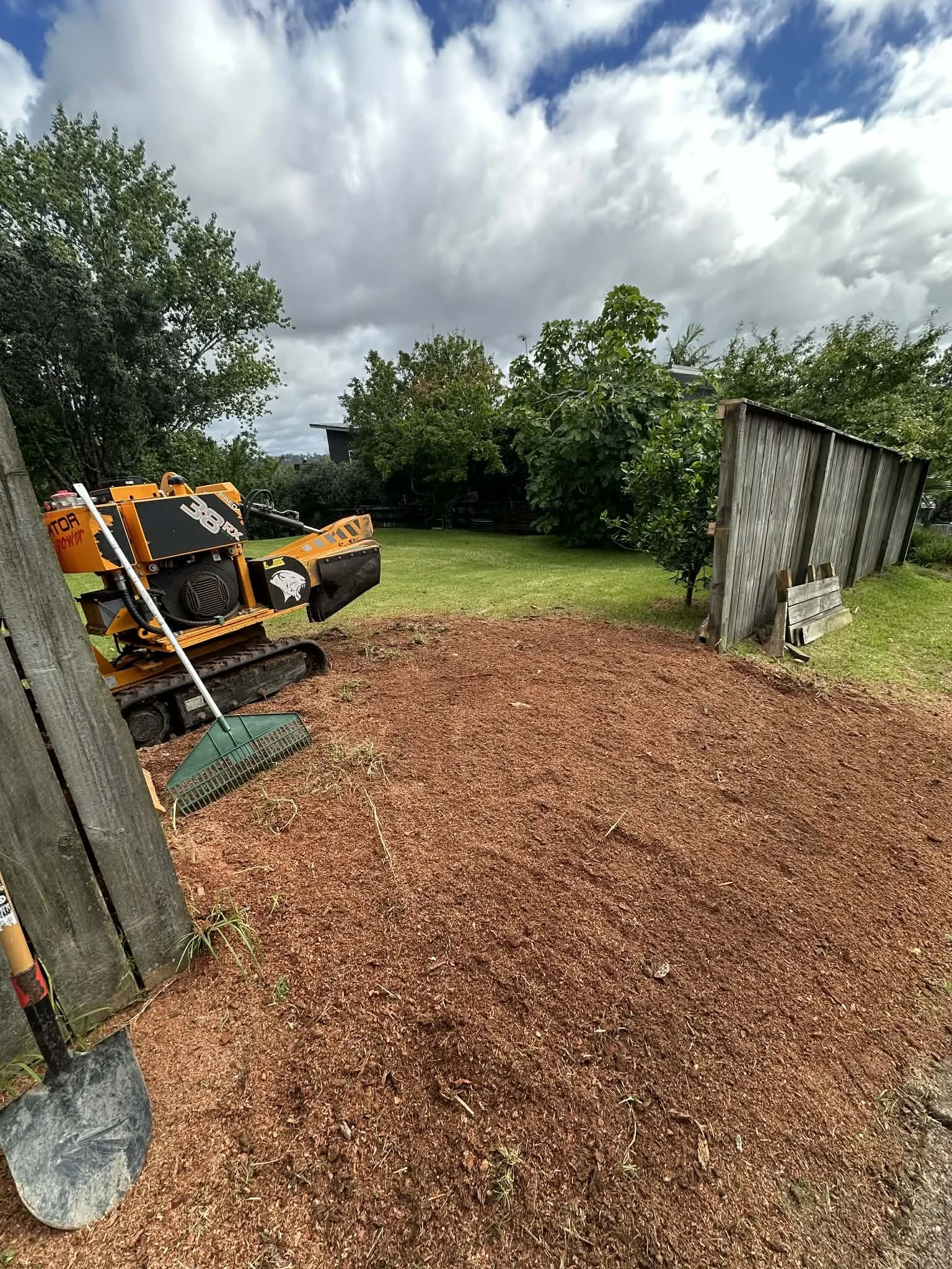 Freshly ground stump