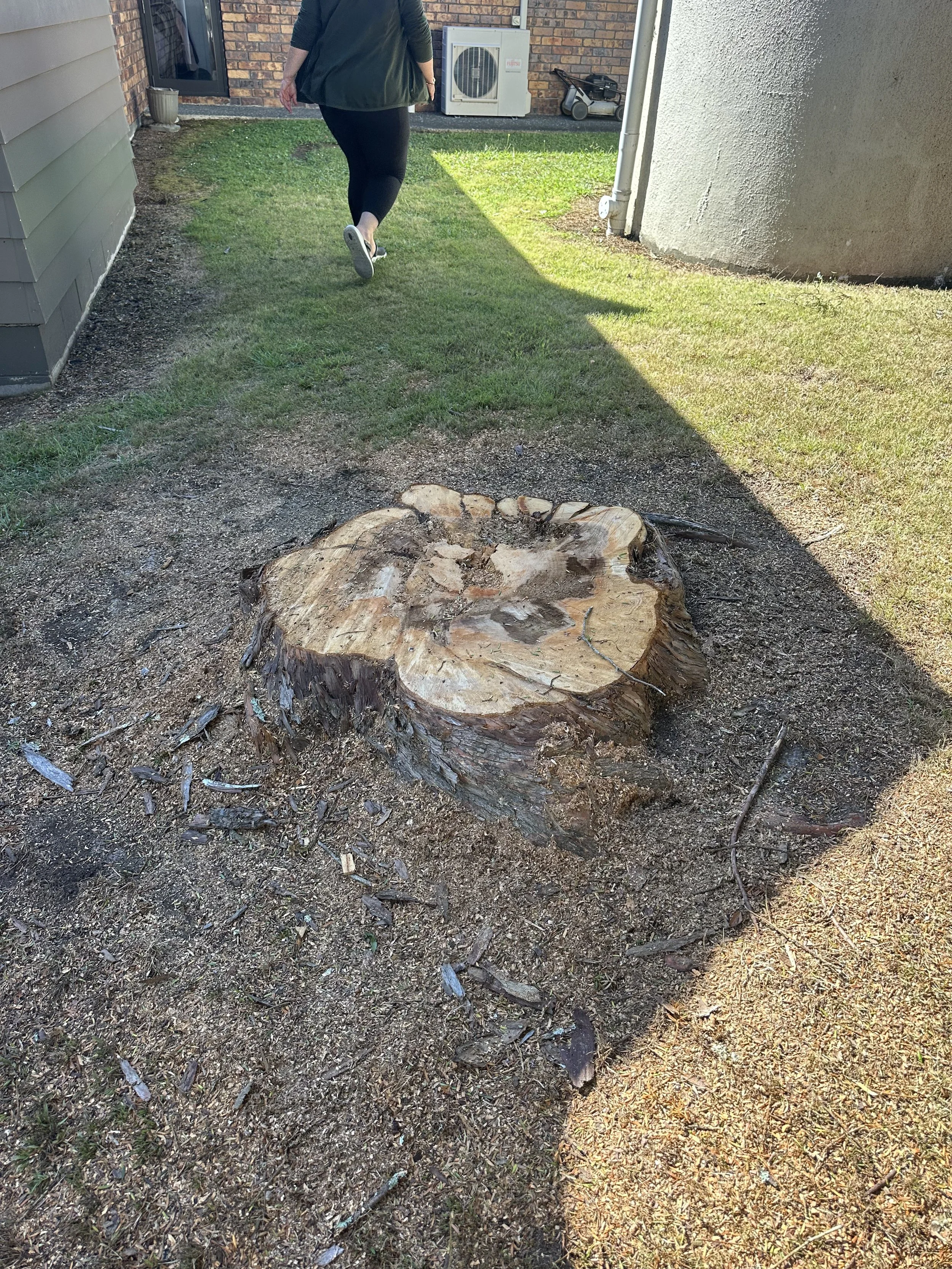 A large tree stump on the ground in a backyard, ready to be ground