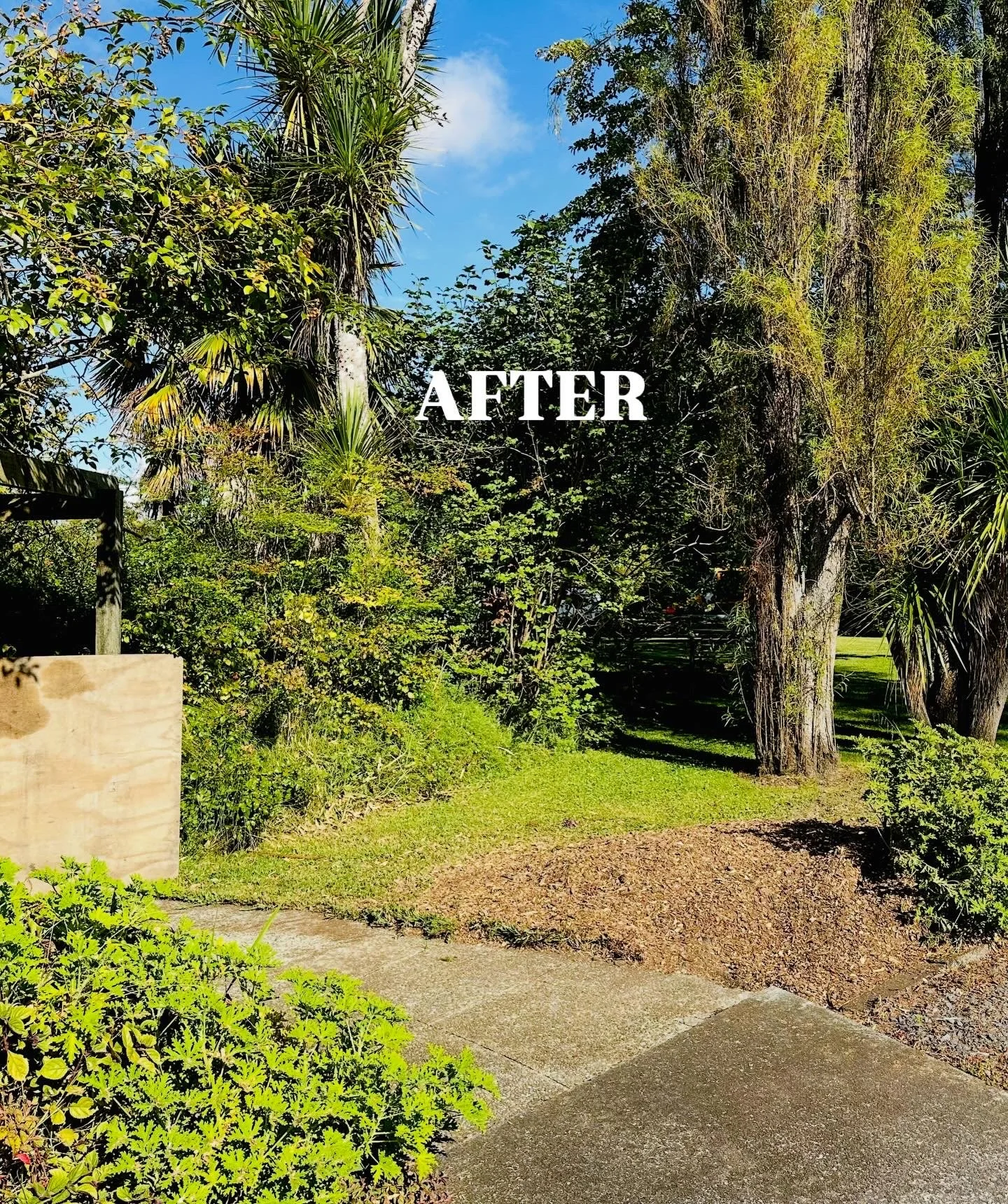 After image of stump grinding