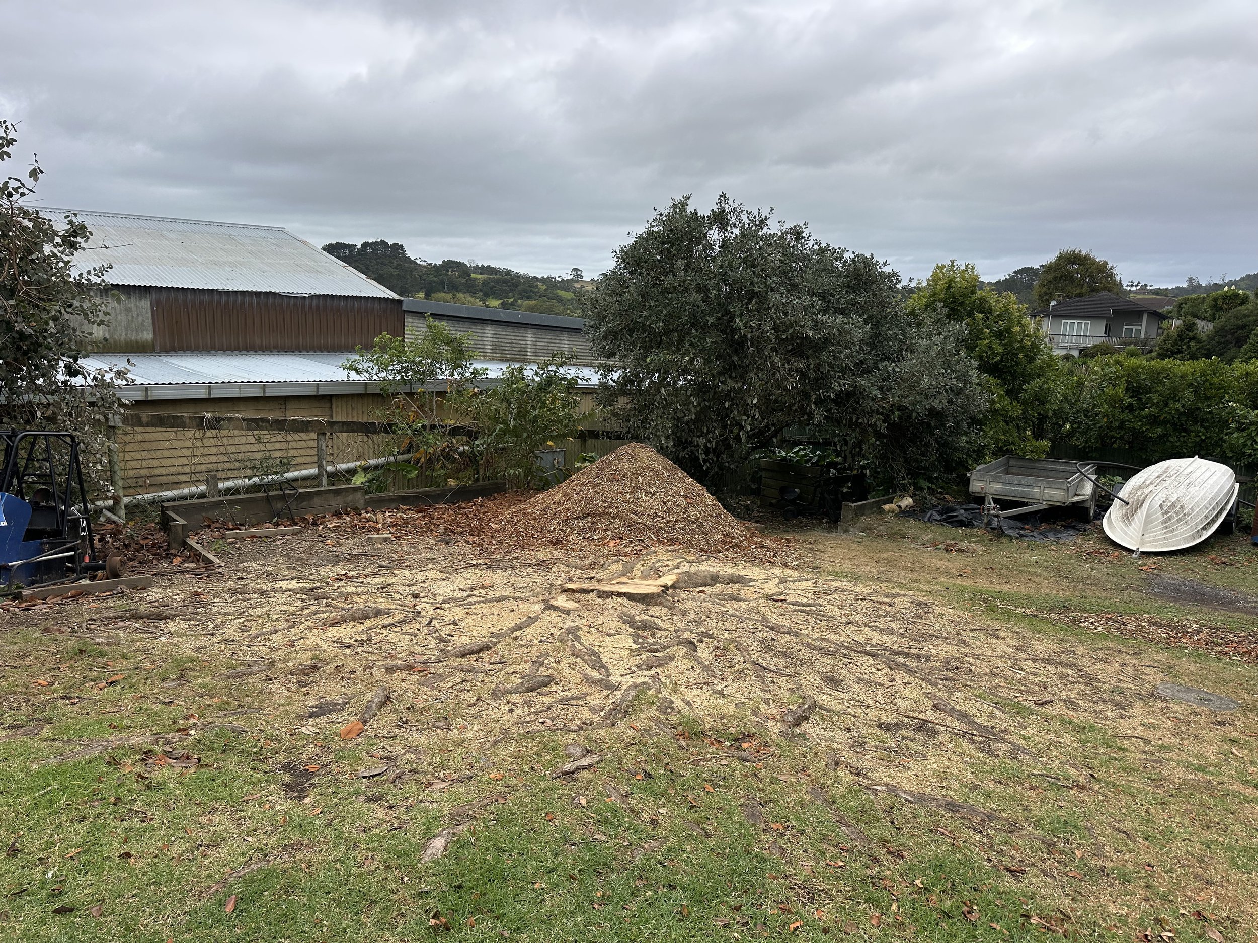 Outdoor backyard scene with a pile of wood chips, a boat overturned on the ground, and gardening tools among trees and plants under a cloudy sky.