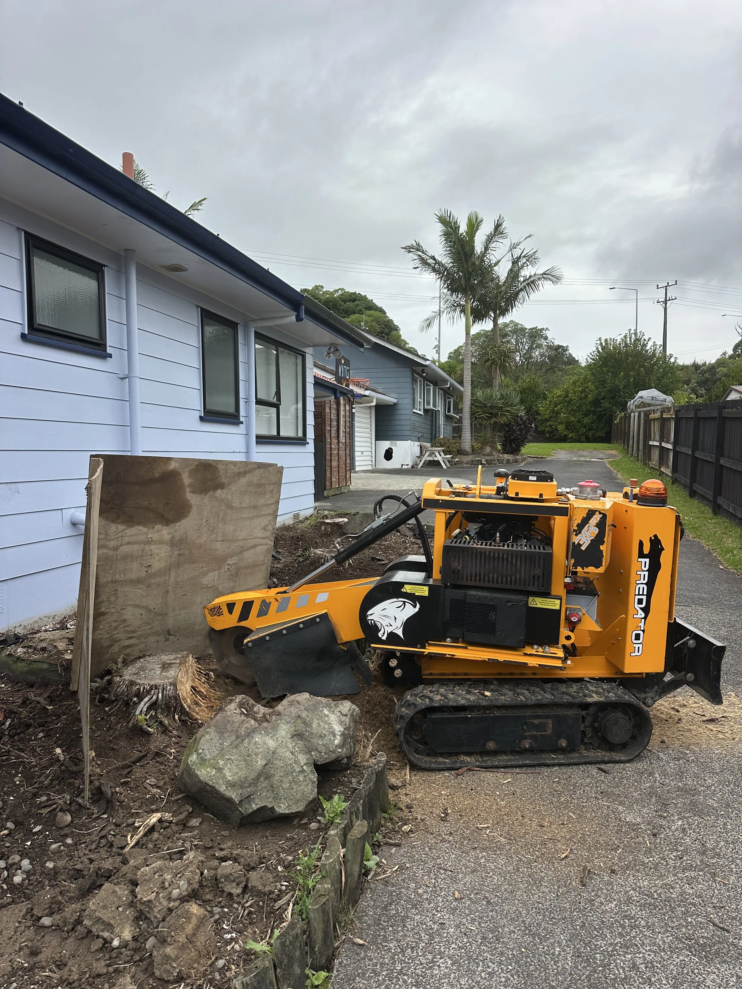 A tracked grinder vehicle with a yellow body, black tracks, and a logo of a lion's head on it, working on a residential backyard landscape project near a blue house with a wooden fence and tropical trees under a cloudy sky.