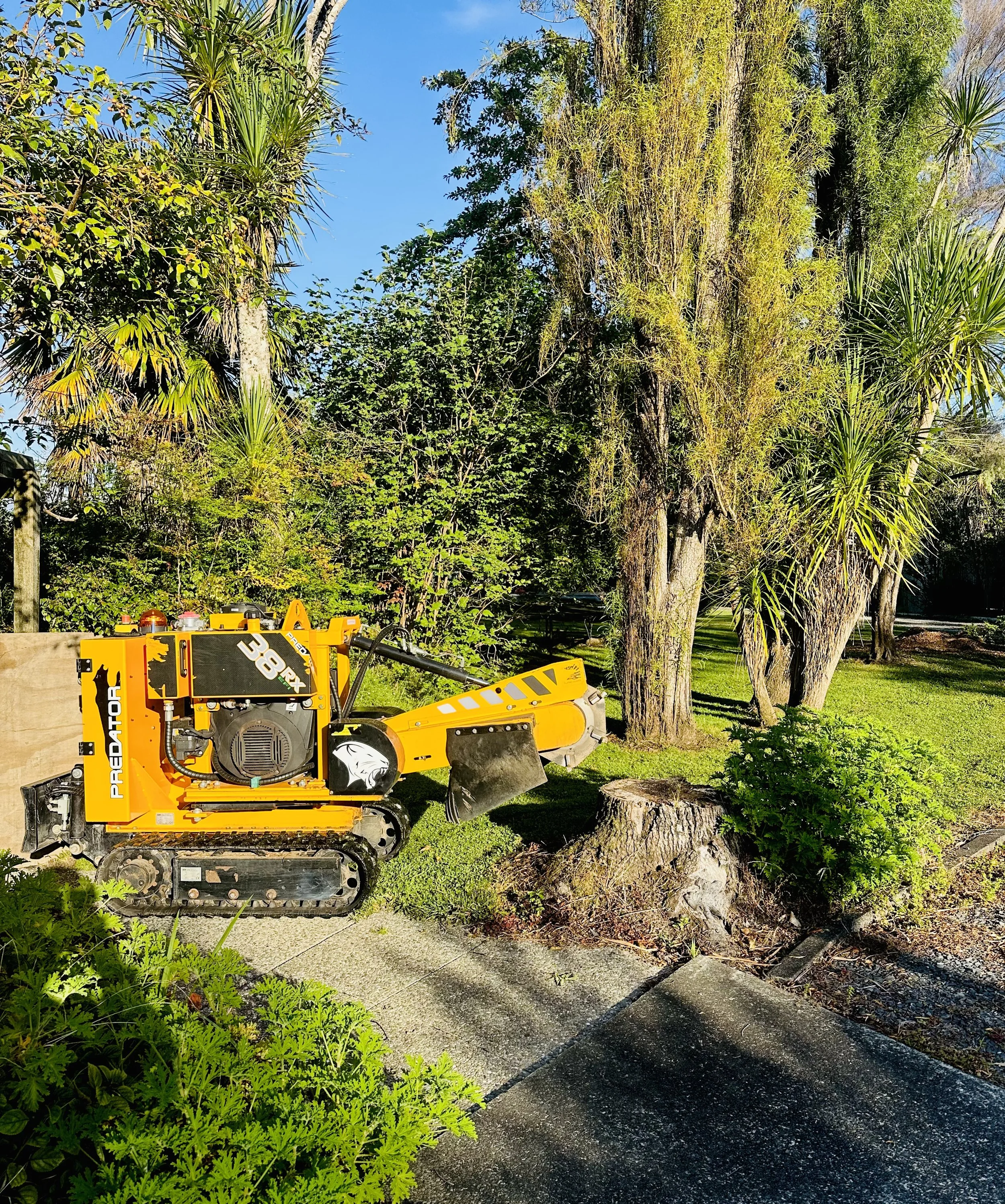 A yellow Prodeco 36X compact excavator working on a grassy garden area with trees and bushes, beside a sidewalk.