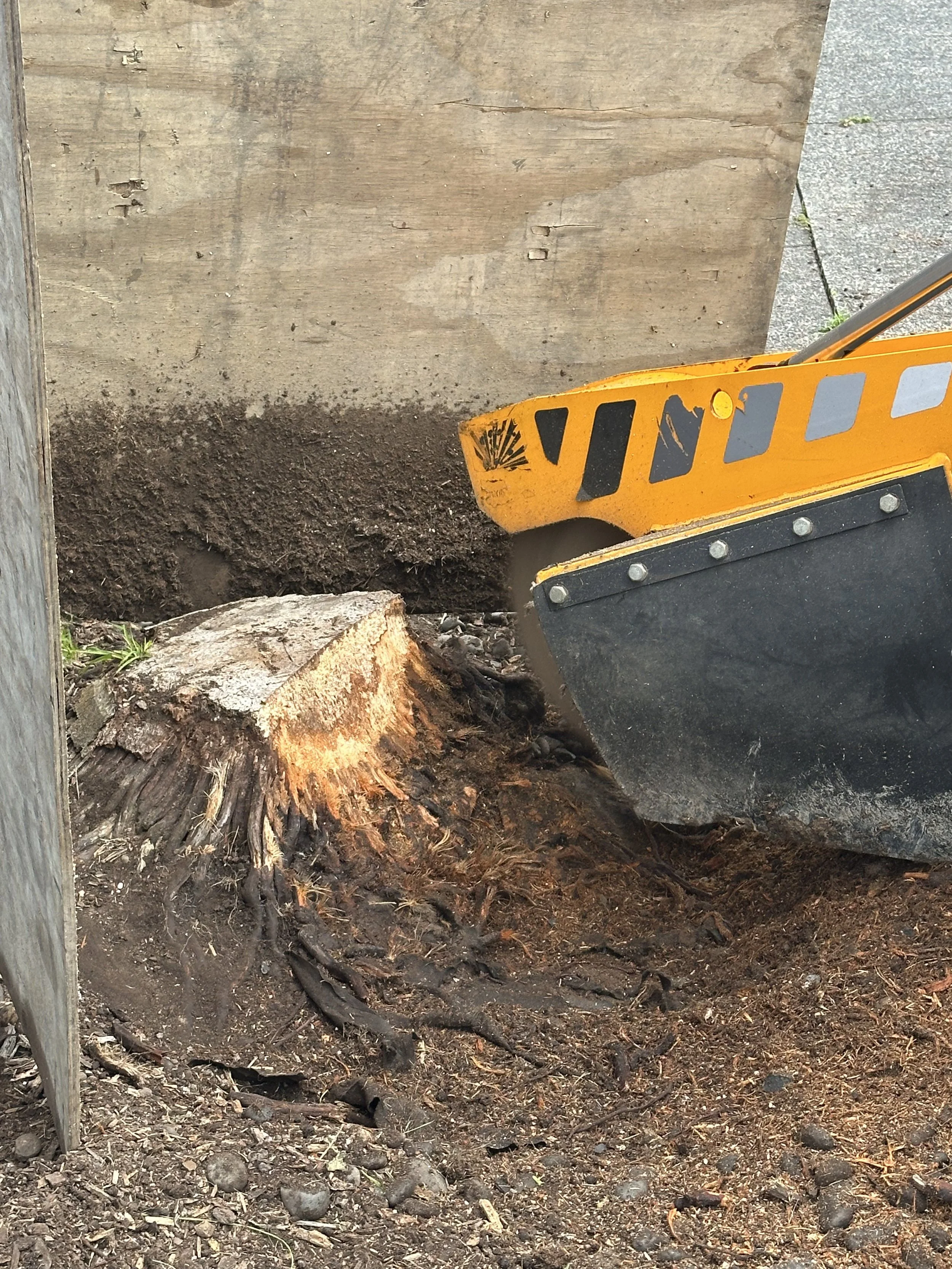 Predator stump grinder
