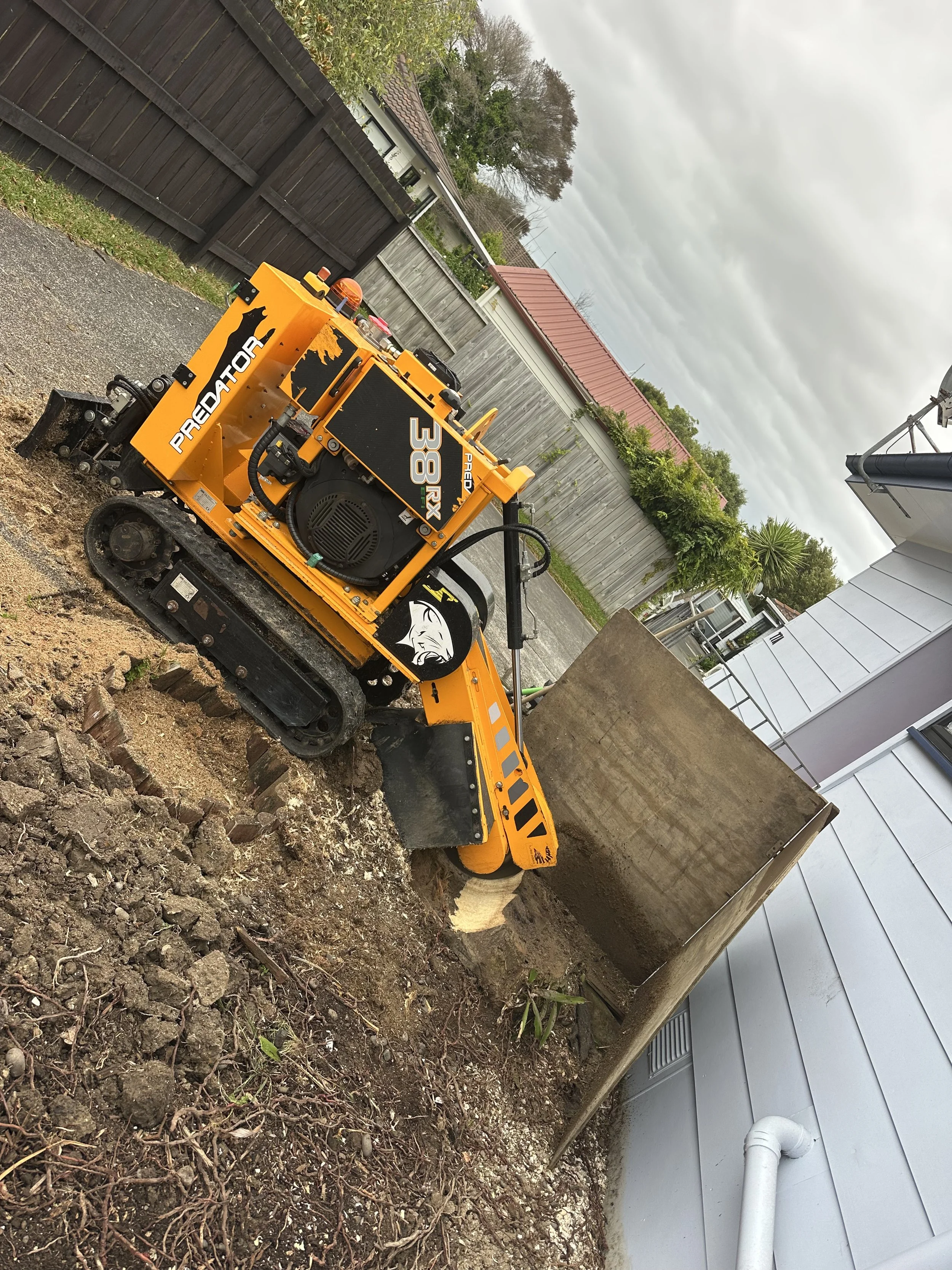 A yellow Predator compact stump grinder with tracks, digging in a yard near a house, with soil and rocks in the foreground, and a wooden fence, trees, cloudy sky, and neighboring houses in the background.