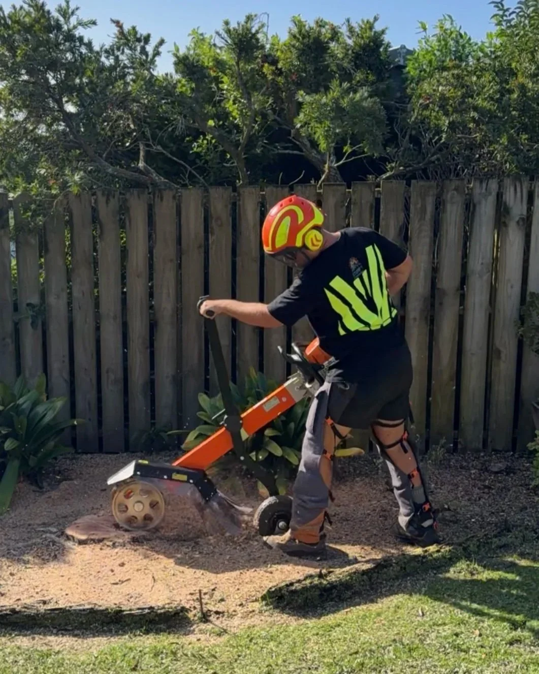 A man wearing a helmet and safety gear is operating a small stumpgrinding machine in a backyard.