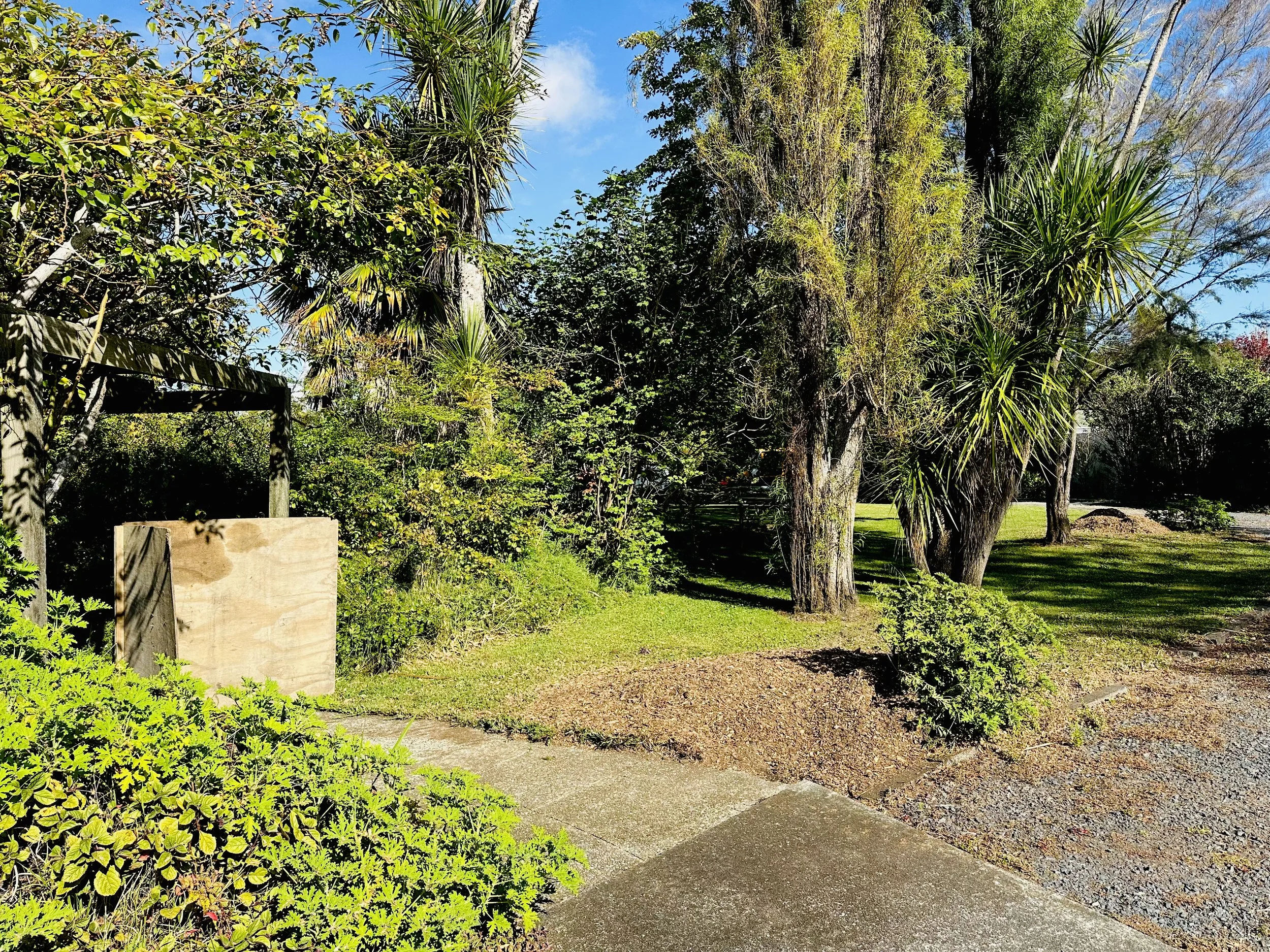 Ready for stump grinding