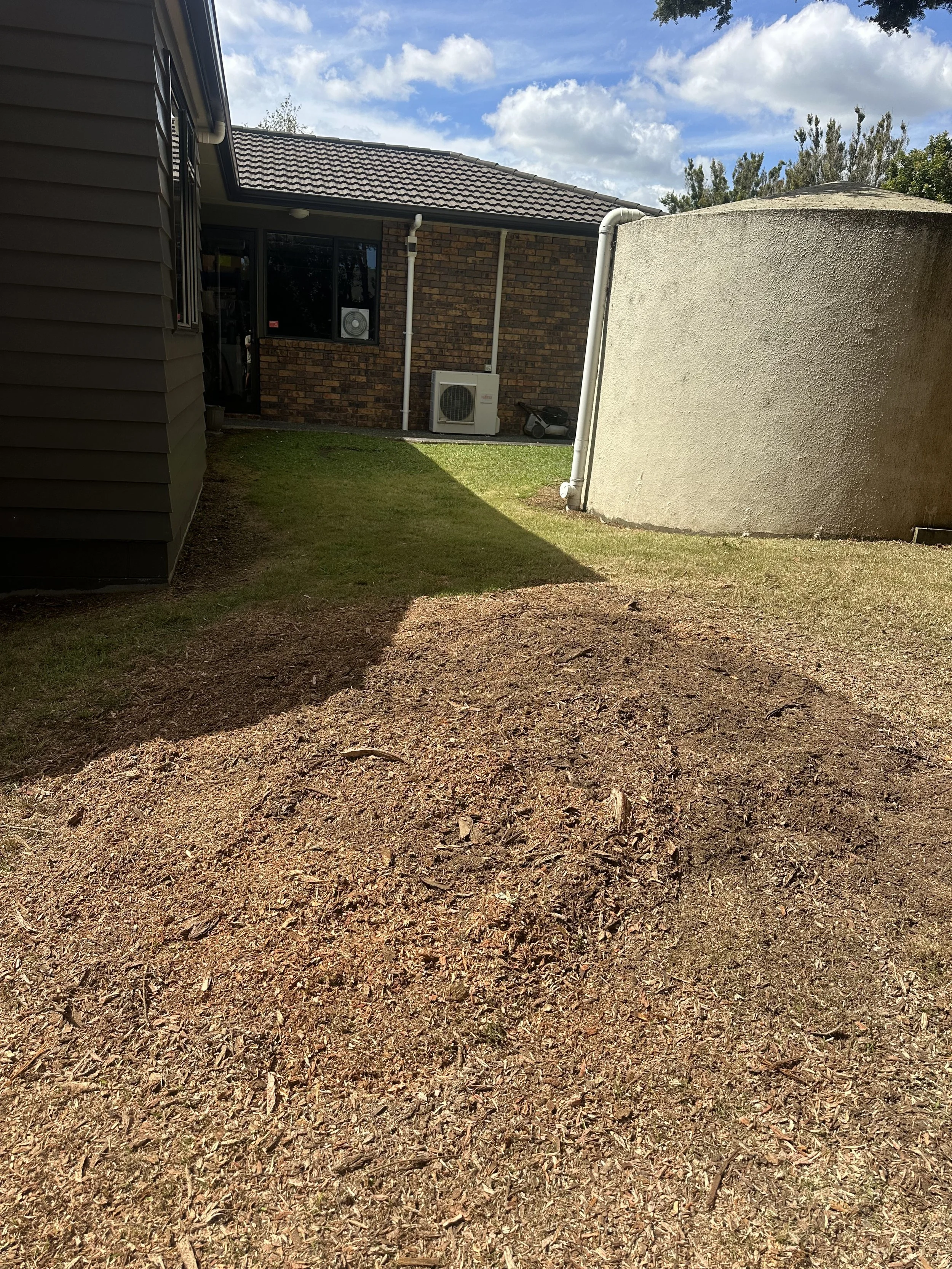 Freshly ground stump area