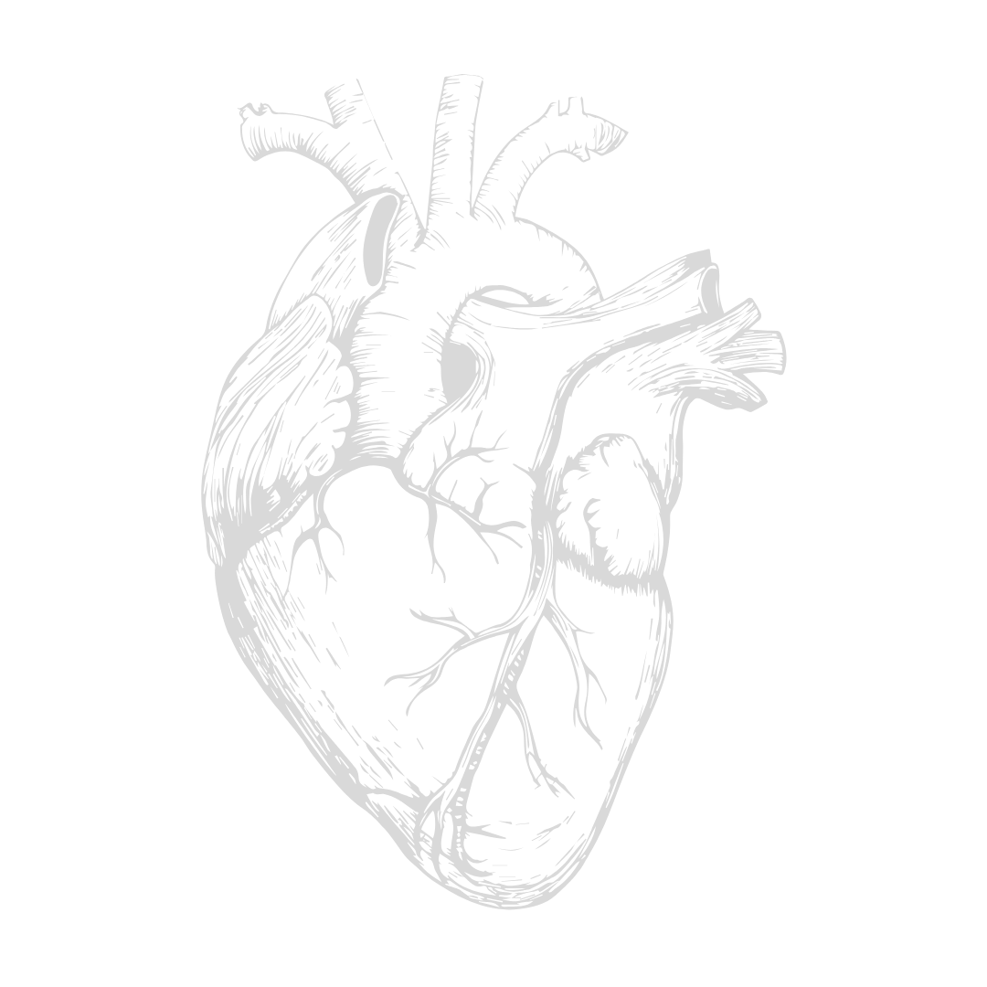 A black and white illustration of an anatomical human heart on a black background.