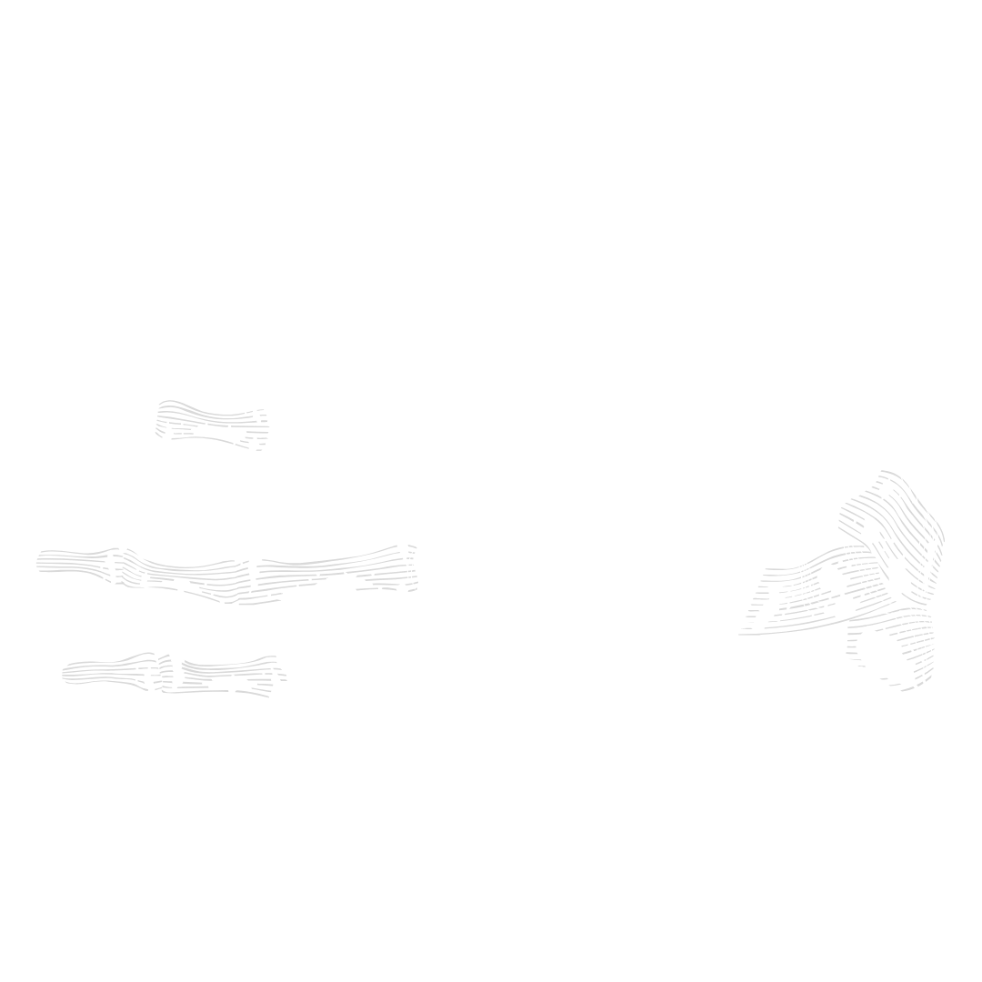 Black background with a white digital drawing of a human hand's skeletal structure, showing bones and joints.