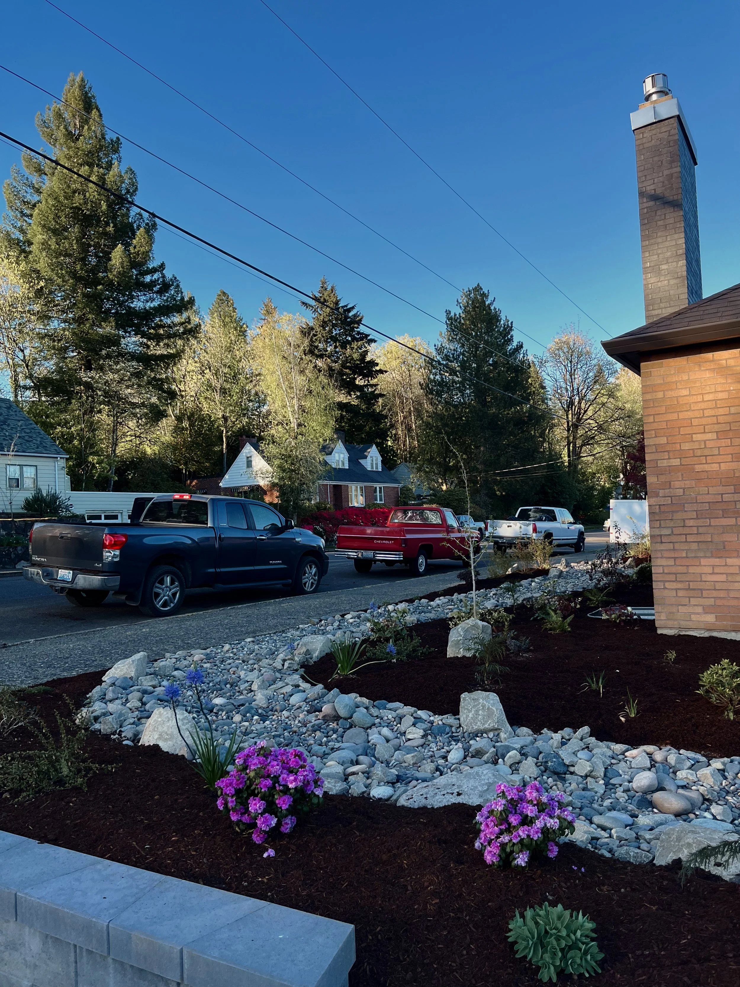camas-wa-native-landscape-design(2).jpg