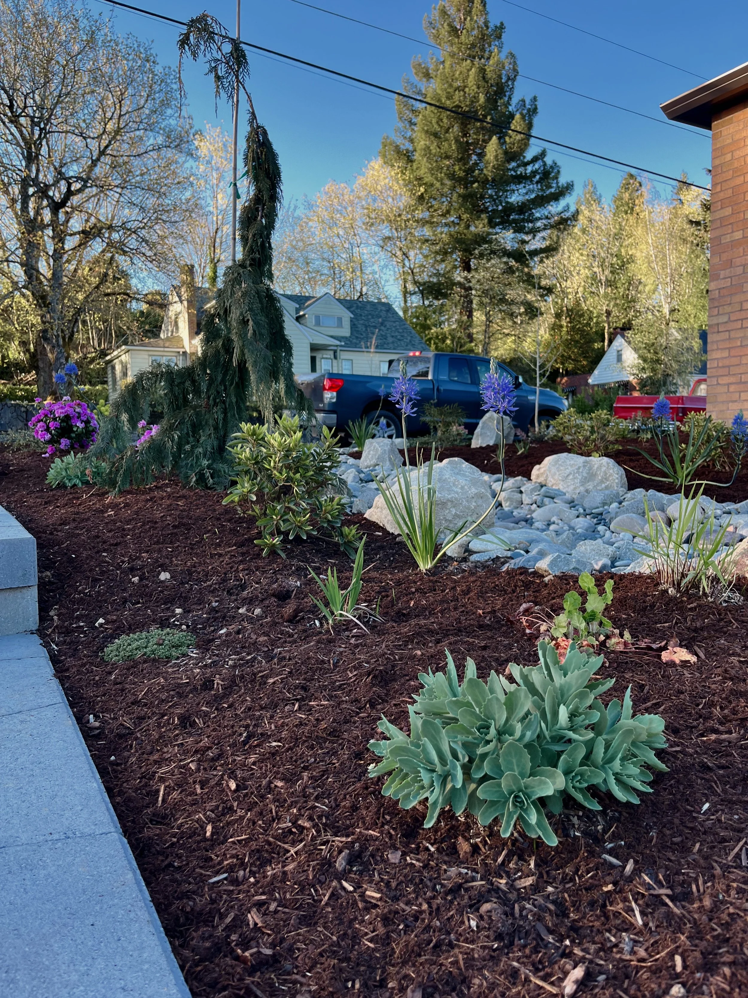 camas-wa-ecological-landscape-design(1).jpg