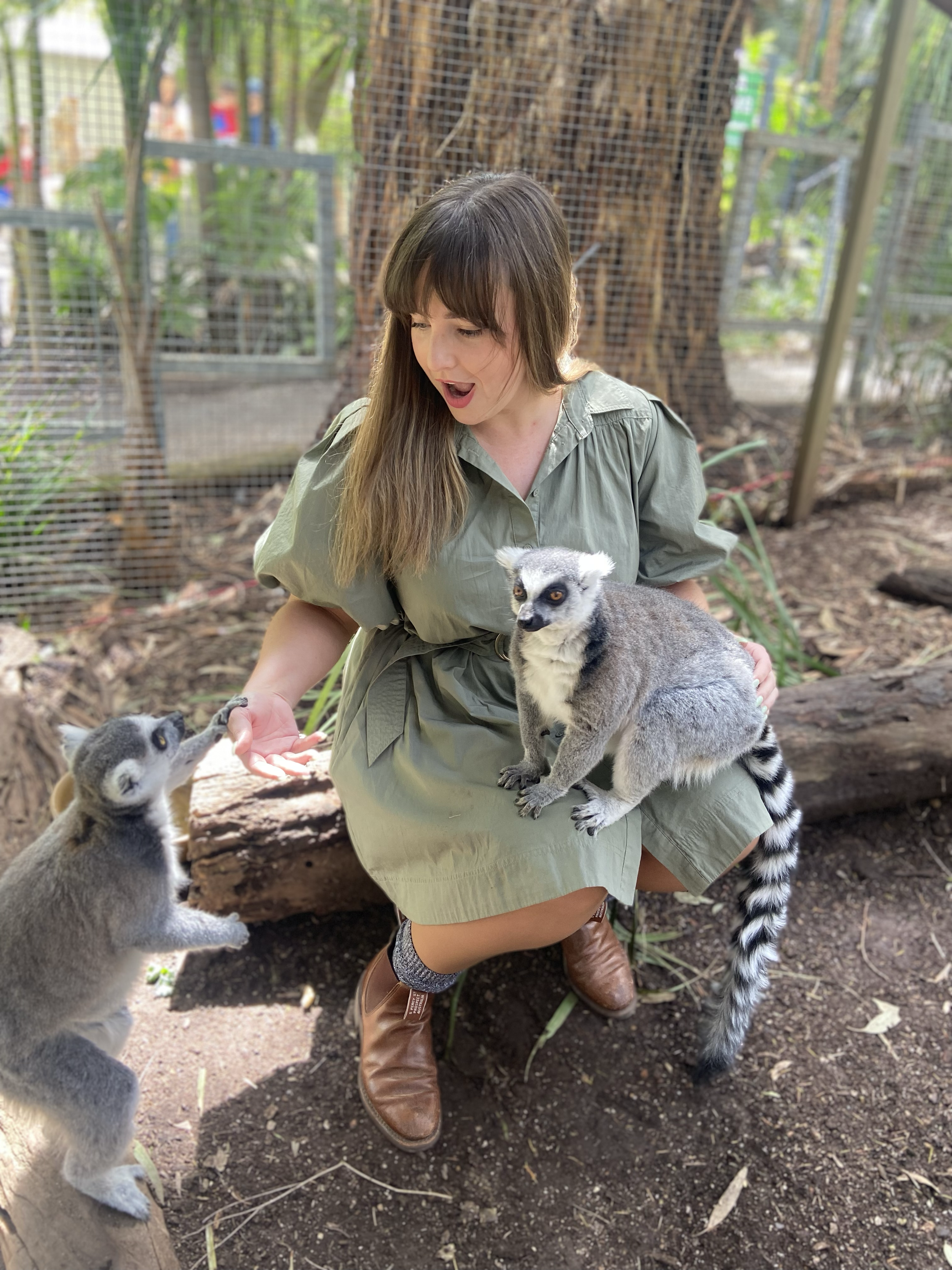 Woman in a green dress holding a lemur, with a mountain lion cub reaching up to her and another lemur nearby in a zoo enclosure.