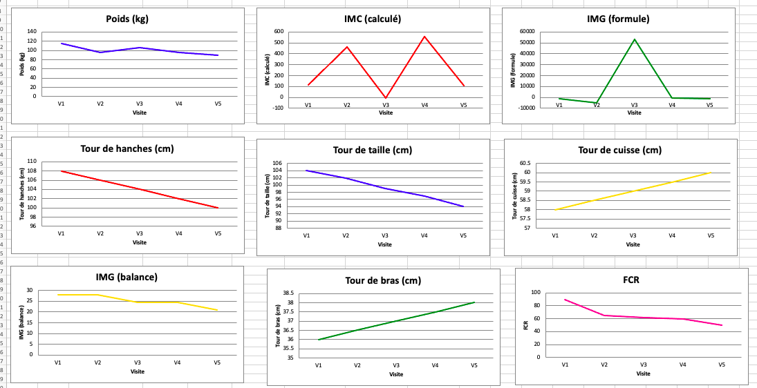 Collectif de neuf graphiques présentant des données sur différentes mesures corporelles et de poids au fil de plusieurs visites. Les graphiques incluent Poids, IMC, IMC calculé, IMC (formule), Tour de hanches, Tour de taille, Tour de cuisse, IMC (bal