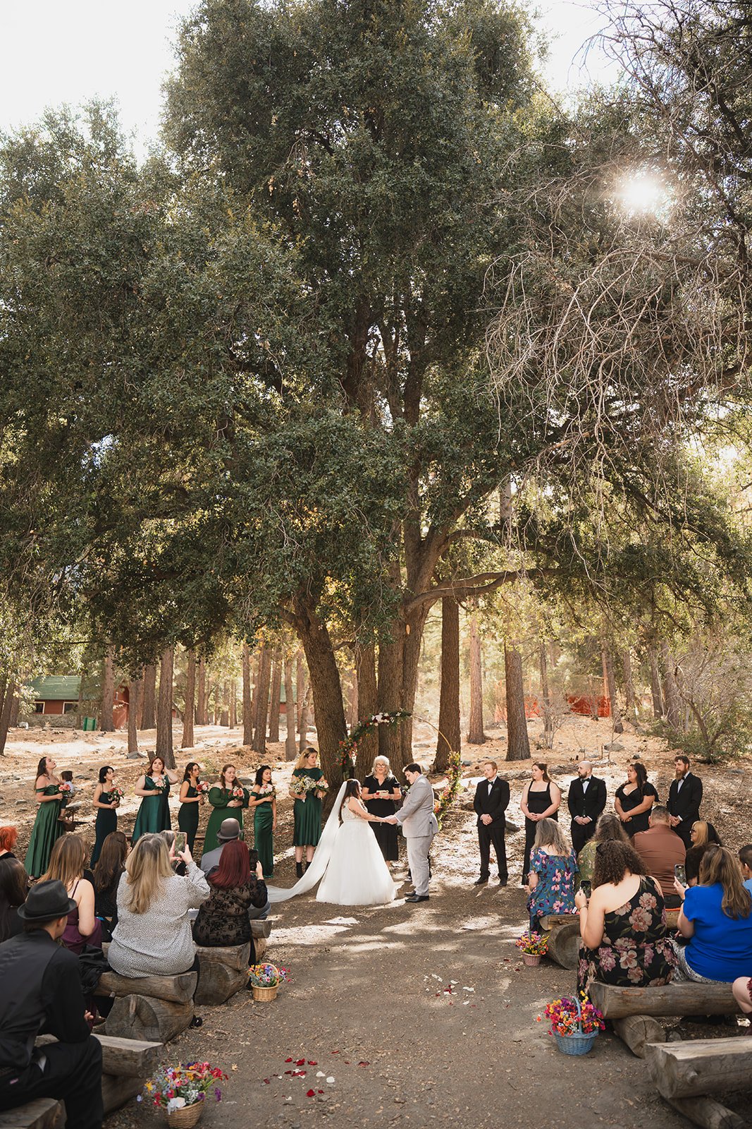 Outdoor wedding ceremony in a wooded area with a couple exchanging vows, surrounded by bridal party and guests, under a large tree with sunlight filtering through the branches, decorated with flowers and petals on the ground.
