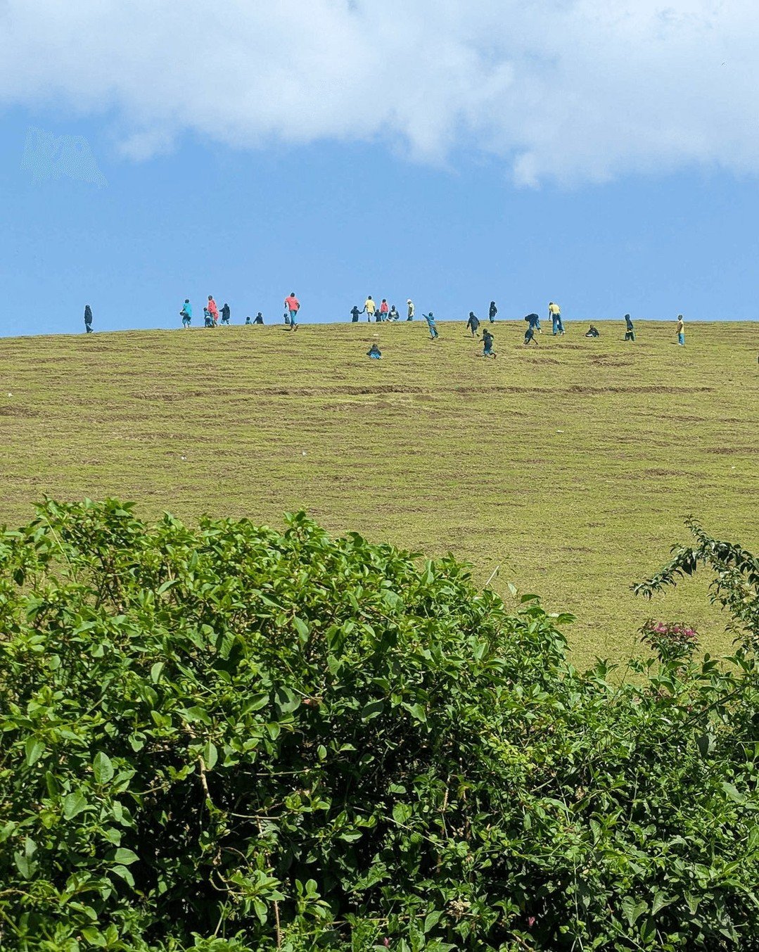 Climbing the hill behind our Arusha facility; a favourite activity among our children and HQ team that brings sunshine, fresh air, and exercise.