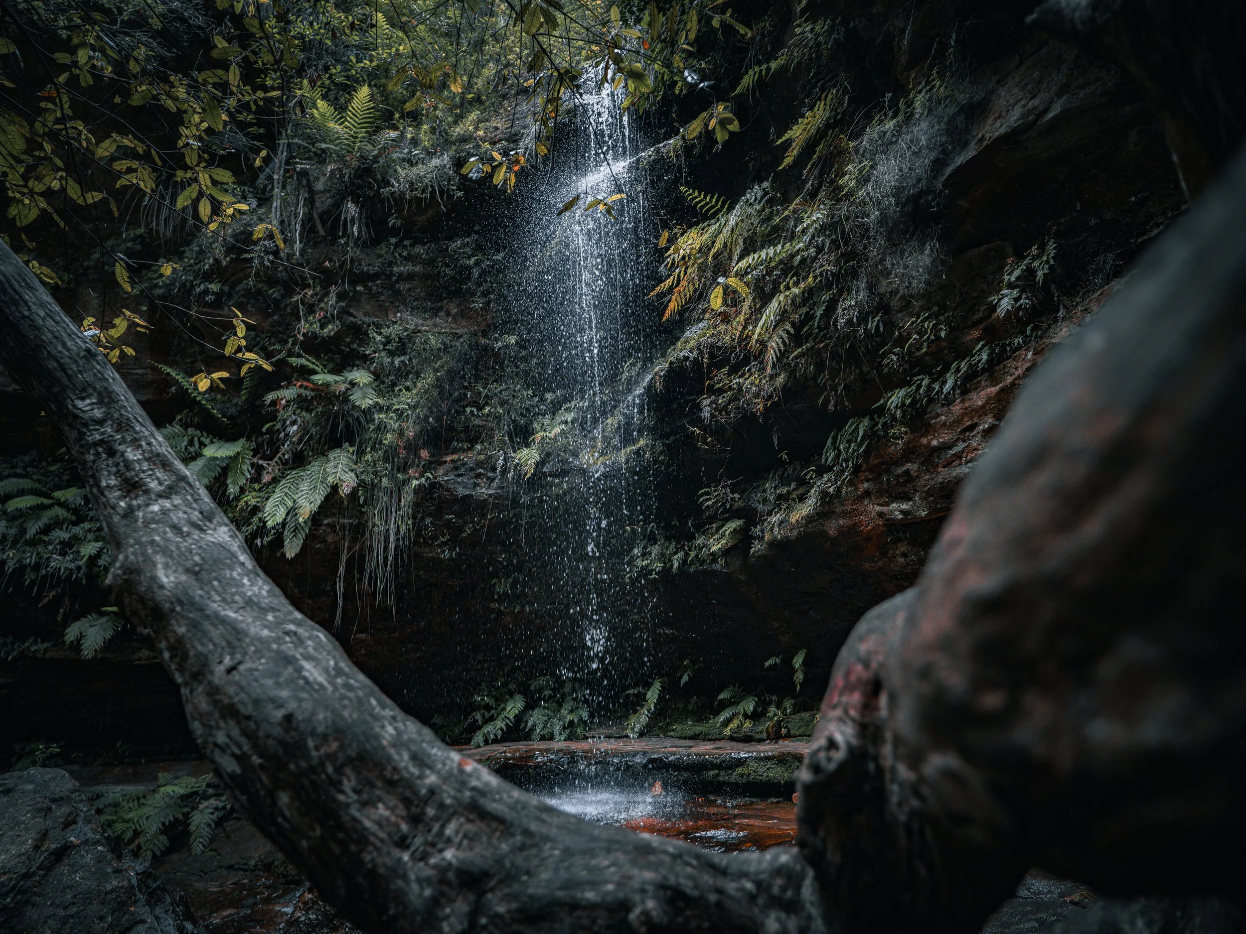 Veil of Stillness.jpg