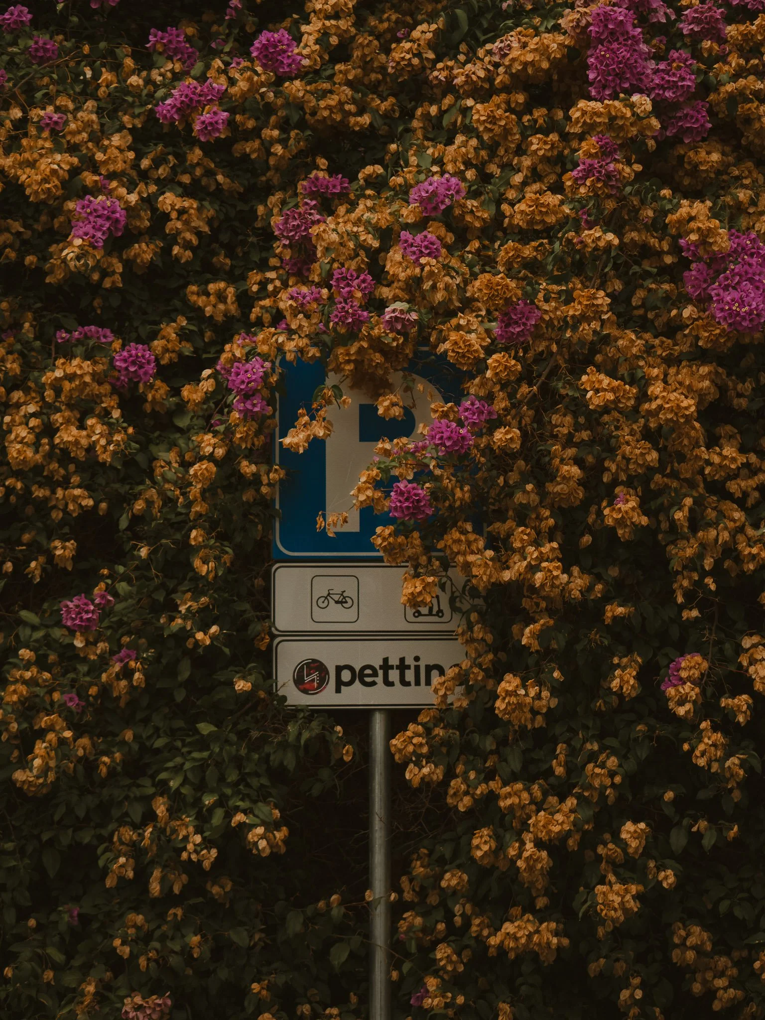 Untitled-4.jpg