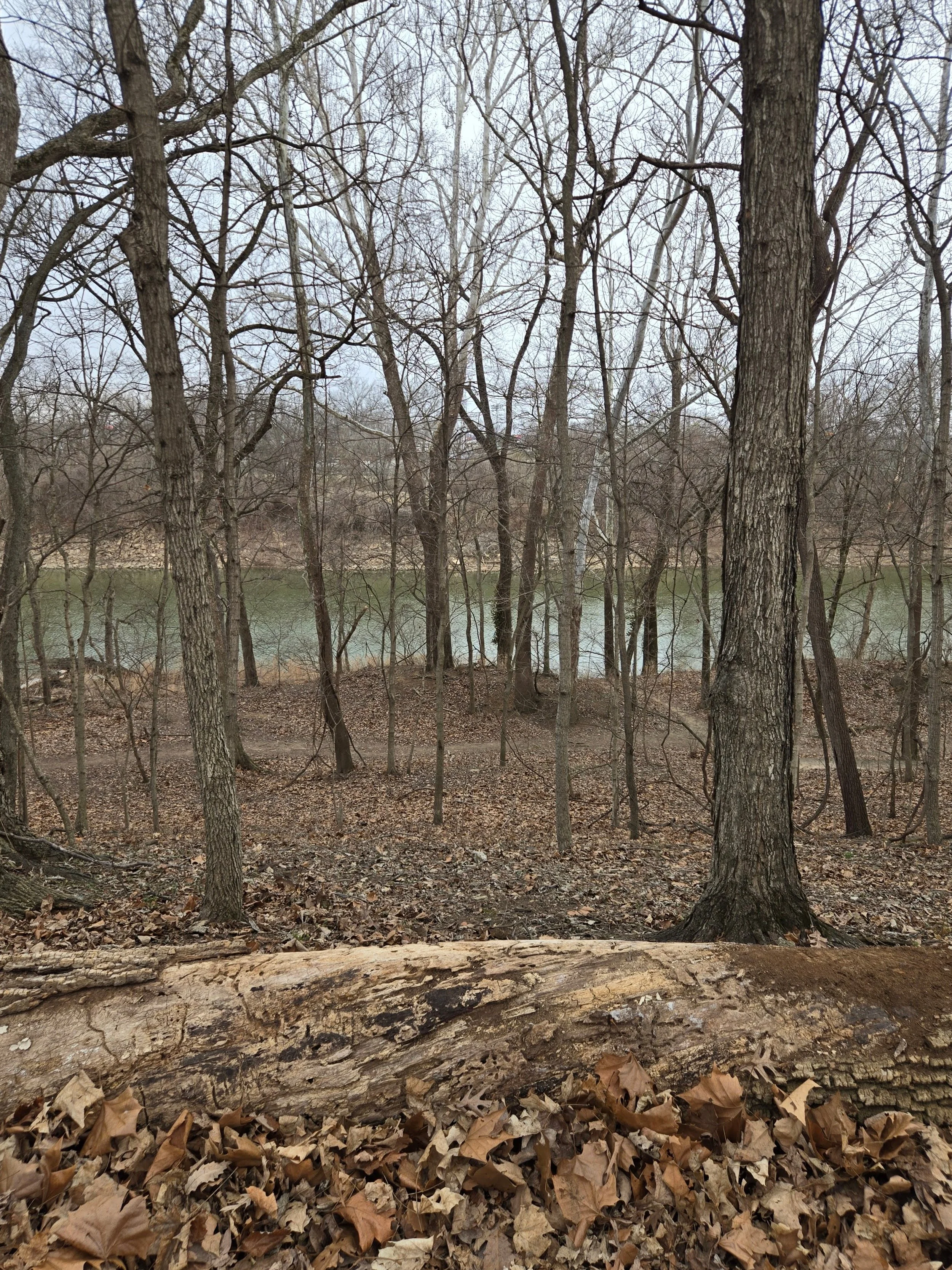 Hiking Trail looking down on the Meramec River at Emmenegger Nature Park in Kirkwood, MO