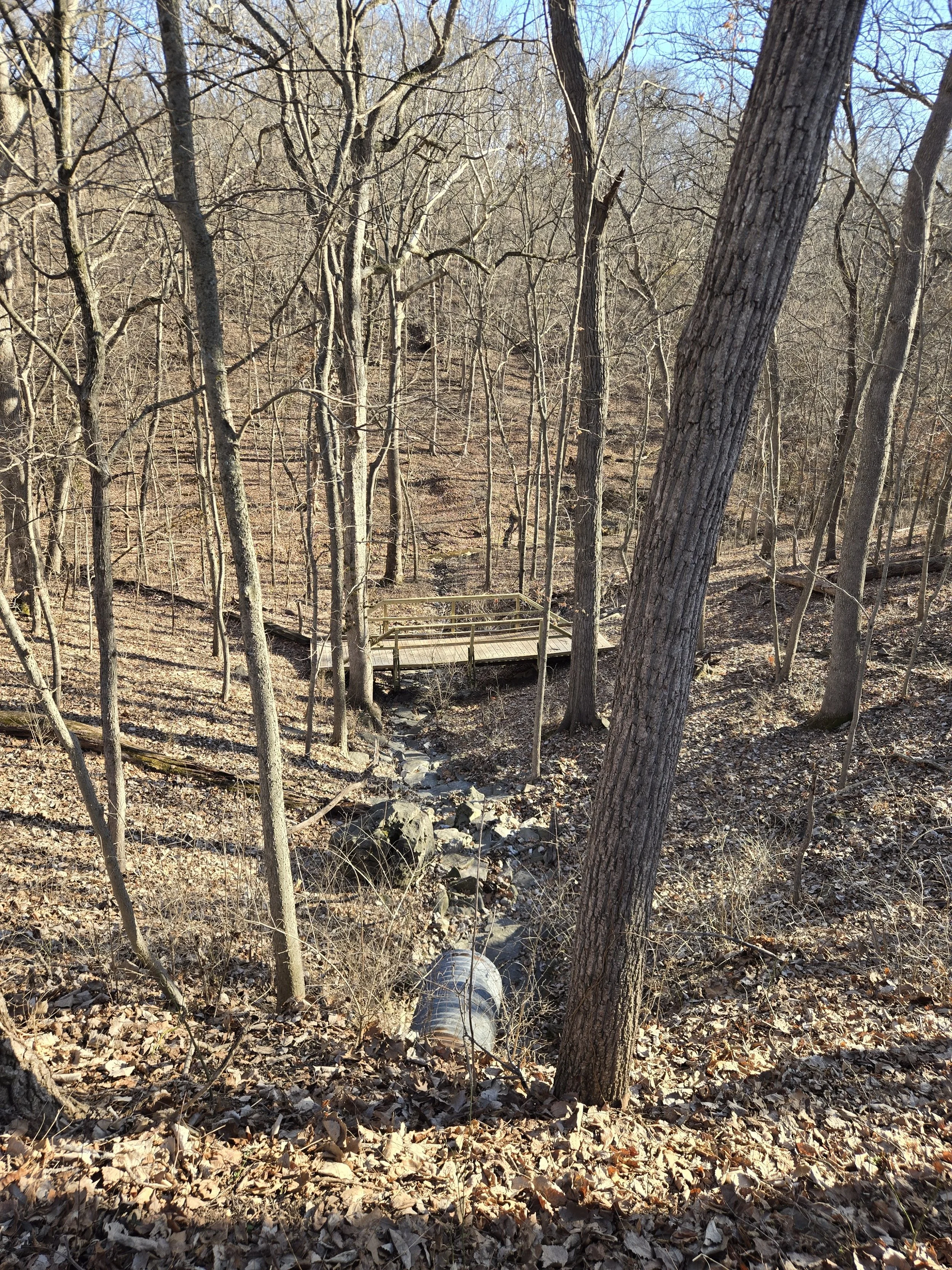 Hiking trail and walking bridge over a creek in nature at Quarry Park in Kirkwood, MO