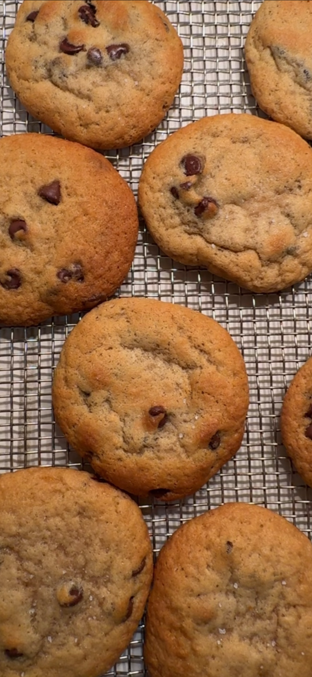 Sourdough Chocolate Chip Cookies