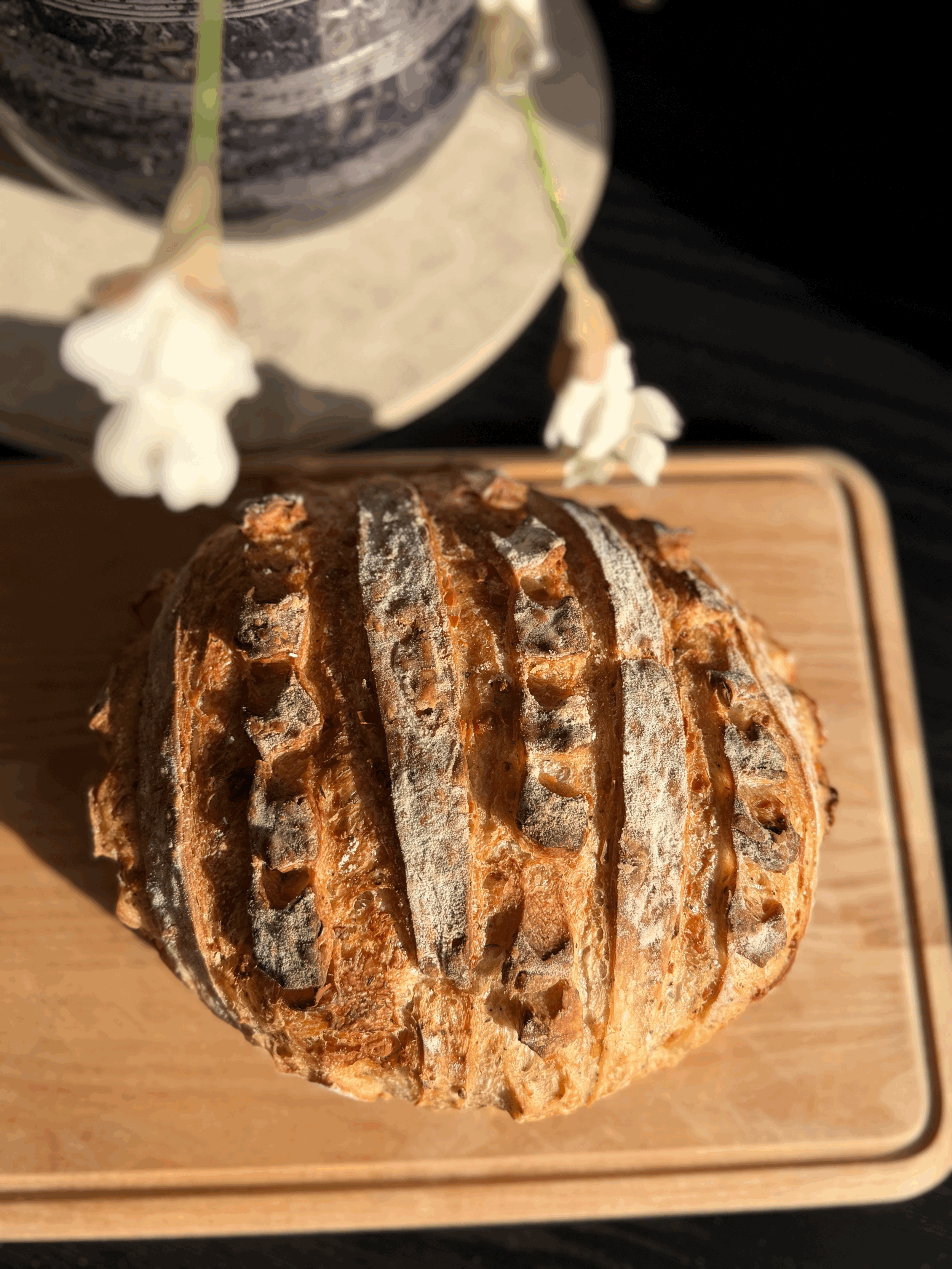 Italian Herb and Cheese Sourdough