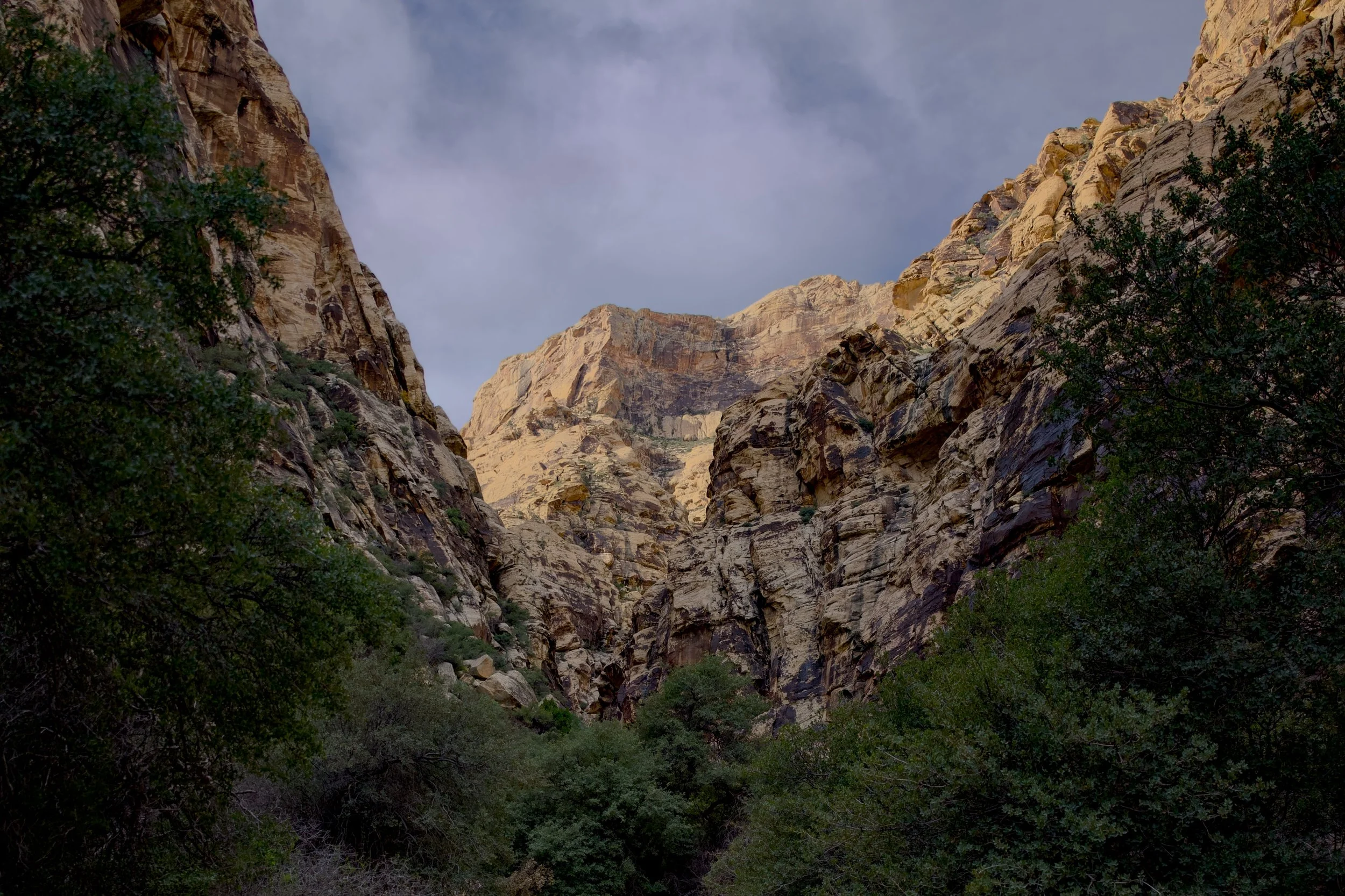 Hourly Photo Session