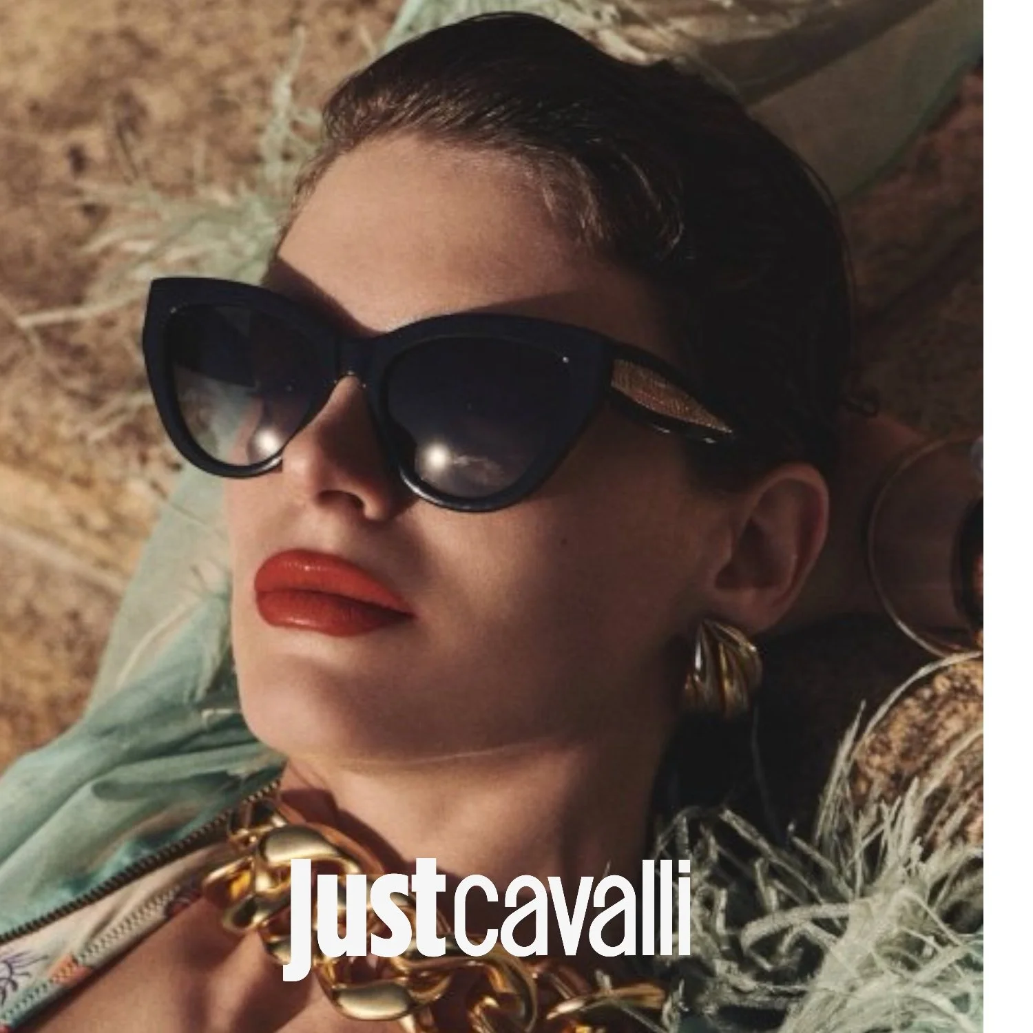 Just Cavalli Poster.JPG