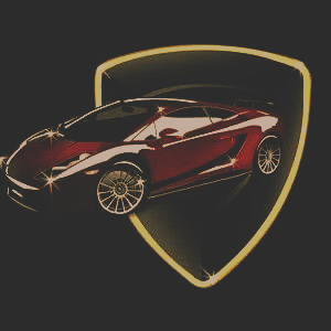 Wilco+BROS+Detailing+Logo.png