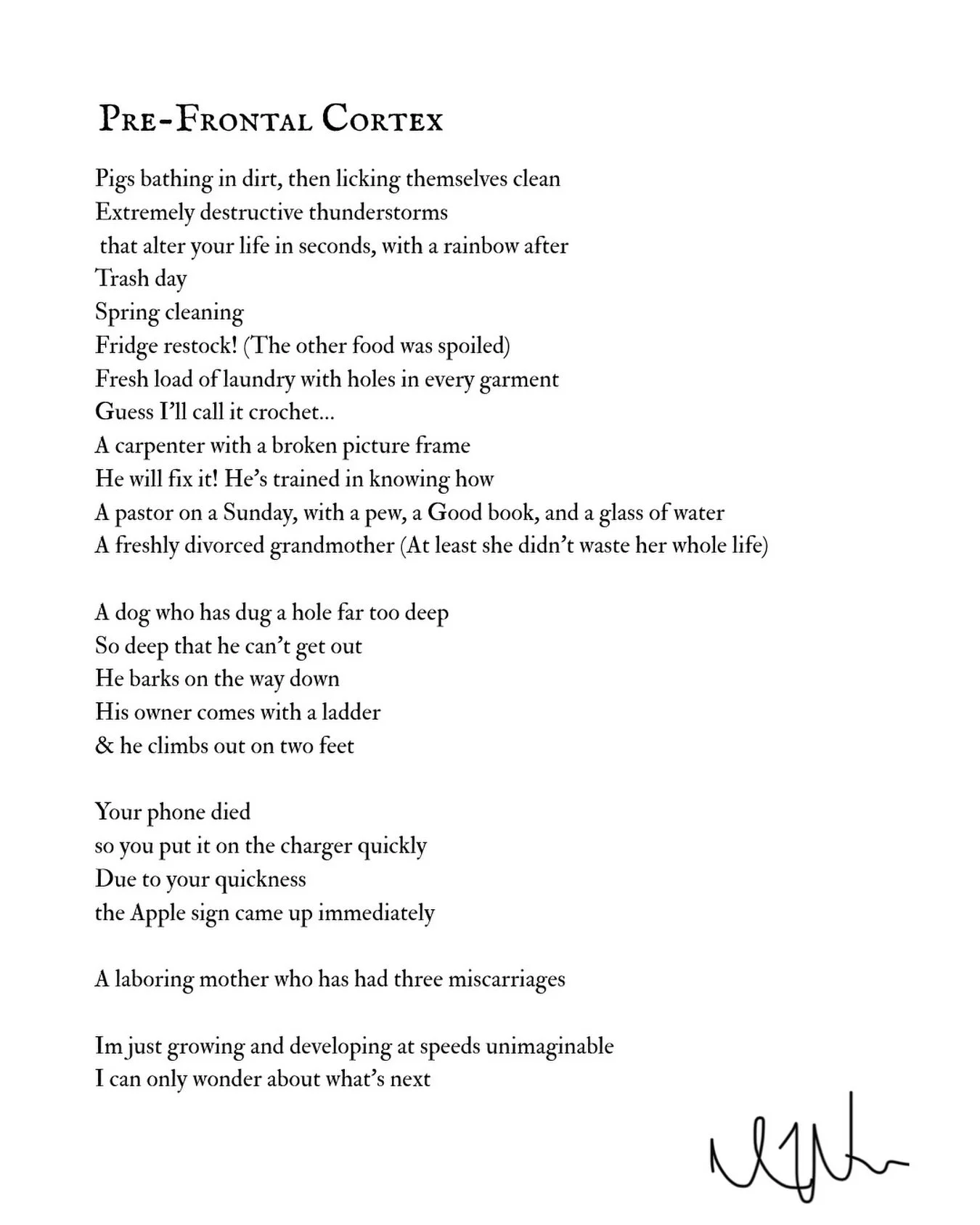 Tomorrow is the Full Moon so things are changing, culminating. Things are new and fresh. Potential. What does this poem mean to you?! I can&rsquo;t quite figure it out🍒

-

Pre-Frontal Cortex 

Pigs bathing in dirt, then licking themselves clean
Ext